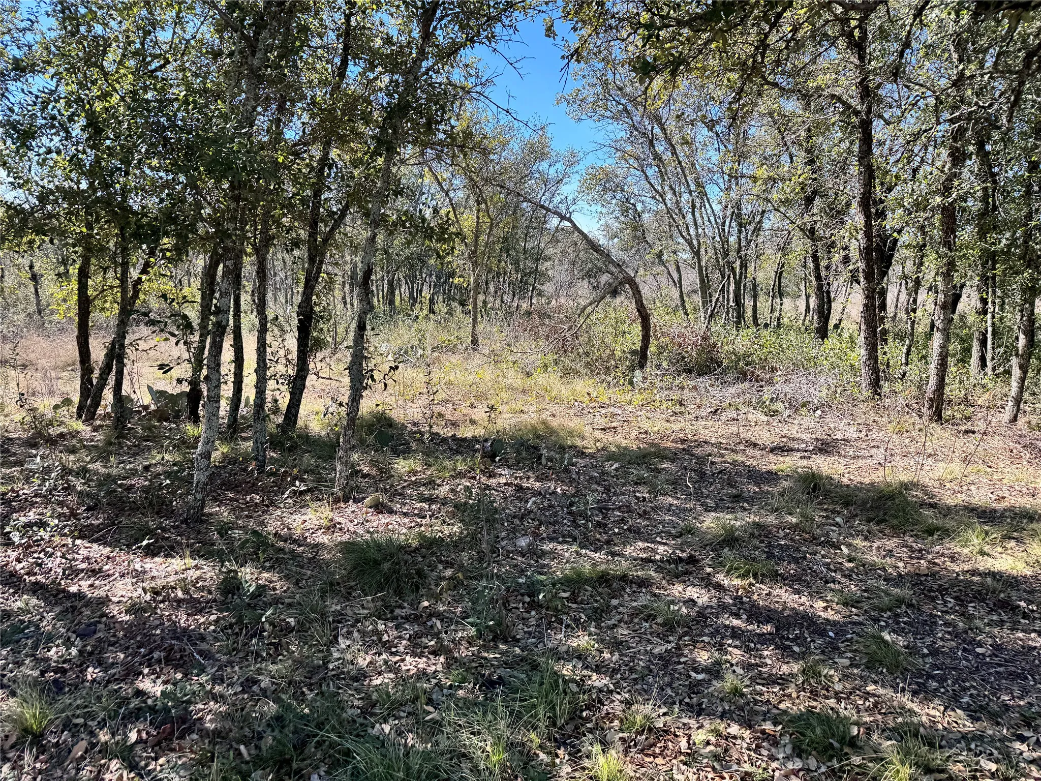 Unimproved Land For Sale in Brown County , TBD Lot 490 Sandcastle Drive, Brownwood, Texas 76801, 0, 0, Garage spaces, 0 Sqft, built in 0, mls#21396691, Real Estate Agent in Brownwood, Homes For Sale in Brown county, Homes For Sale in Brownwood, Realtor in Brownwood Texas, Real Estate Brokerage Independent Realty Texas, Luminita Cordes Realtor