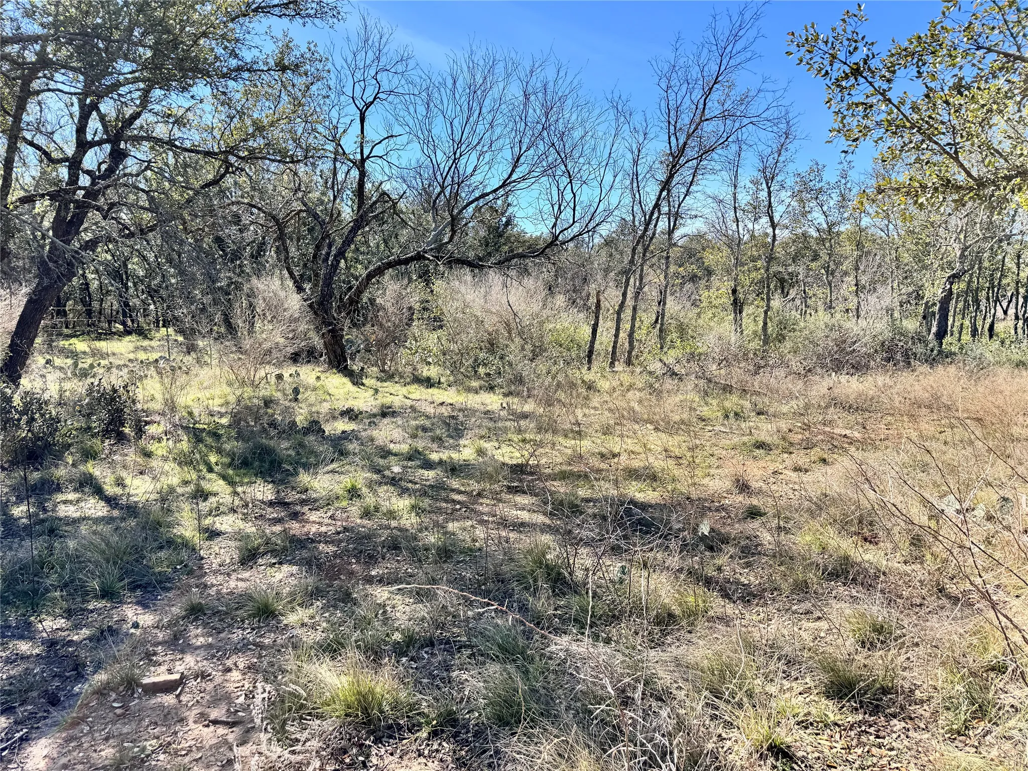 Unimproved Land For Sale in Brown County , TBD Lot 490 Sandcastle Drive, Brownwood, Texas 76801, 0, 0, Garage spaces, 0 Sqft, built in 0, mls#21396691, Real Estate Agent in Brownwood, Homes For Sale in Brown county, Homes For Sale in Brownwood, Realtor in Brownwood Texas, Real Estate Brokerage Independent Realty Texas, Luminita Cordes Realtor