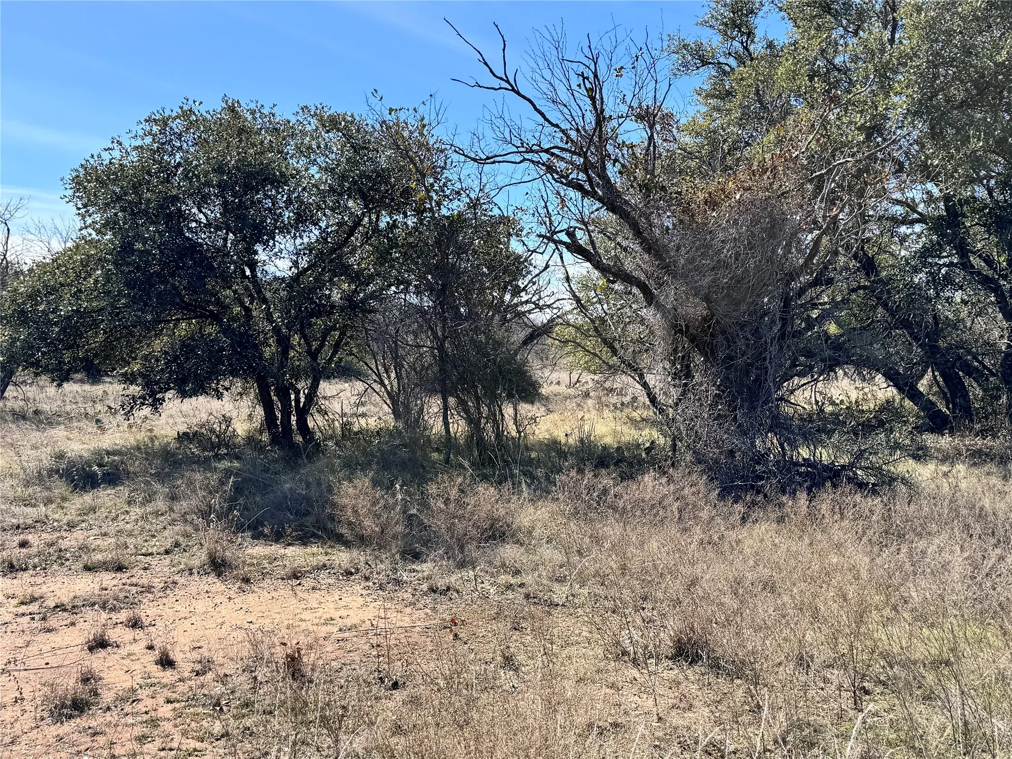 Unimproved Land For Sale in Brown County , TBD Lot 490 Sandcastle Drive, Brownwood, Texas 76801, 0, 0, Garage spaces, 0 Sqft, built in 0, mls#21396691, Real Estate Agent in Brownwood, Homes For Sale in Brown county, Homes For Sale in Brownwood, Realtor in Brownwood Texas, Real Estate Brokerage Independent Realty Texas, Luminita Cordes Realtor