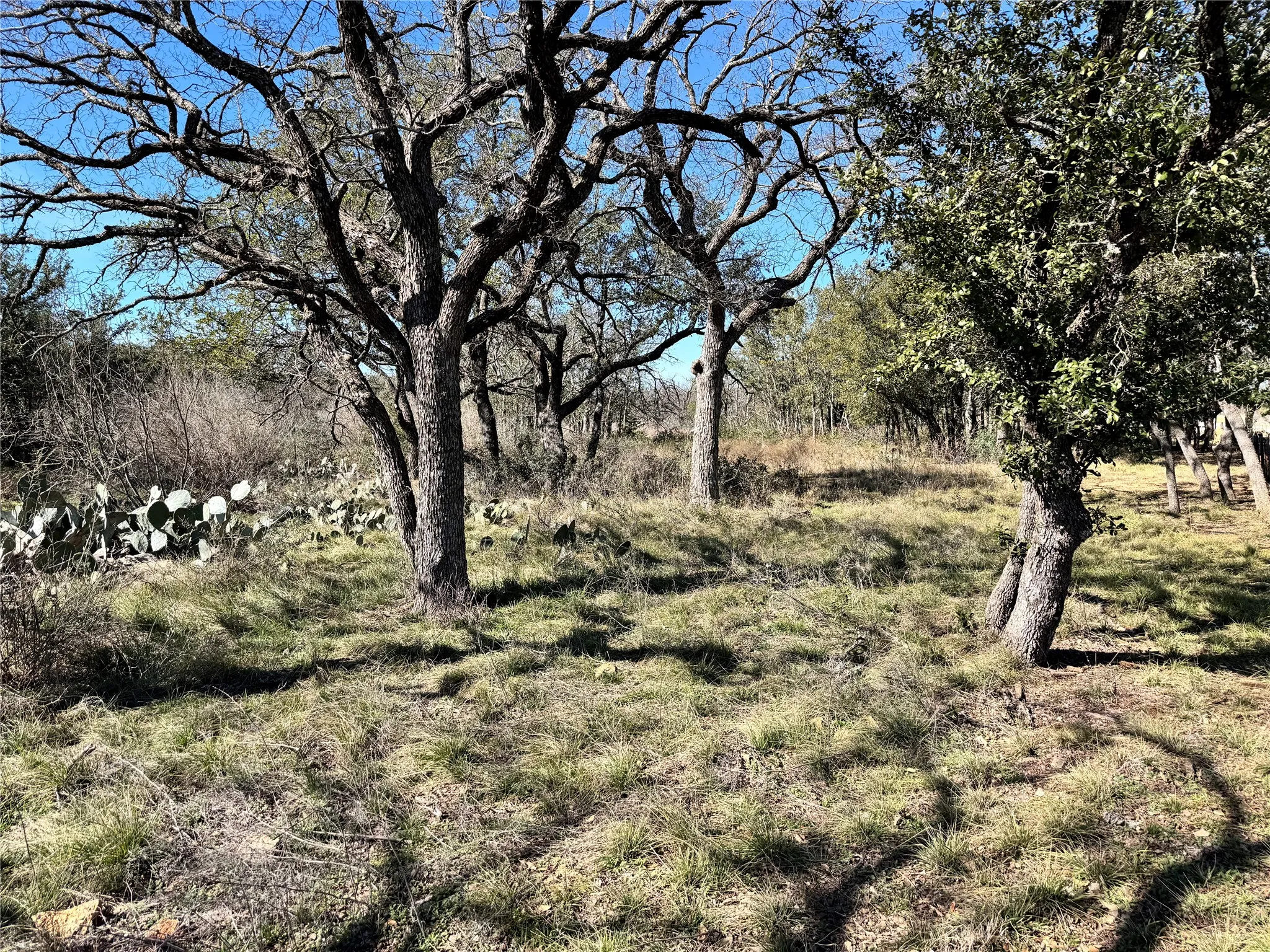 Unimproved Land For Sale in Brown County , TBD Lot 490 Sandcastle Drive, Brownwood, Texas 76801, 0, 0, Garage spaces, 0 Sqft, built in 0, mls#21396691, Real Estate Agent in Brownwood, Homes For Sale in Brown county, Homes For Sale in Brownwood, Realtor in Brownwood Texas, Real Estate Brokerage Independent Realty Texas, Luminita Cordes Realtor