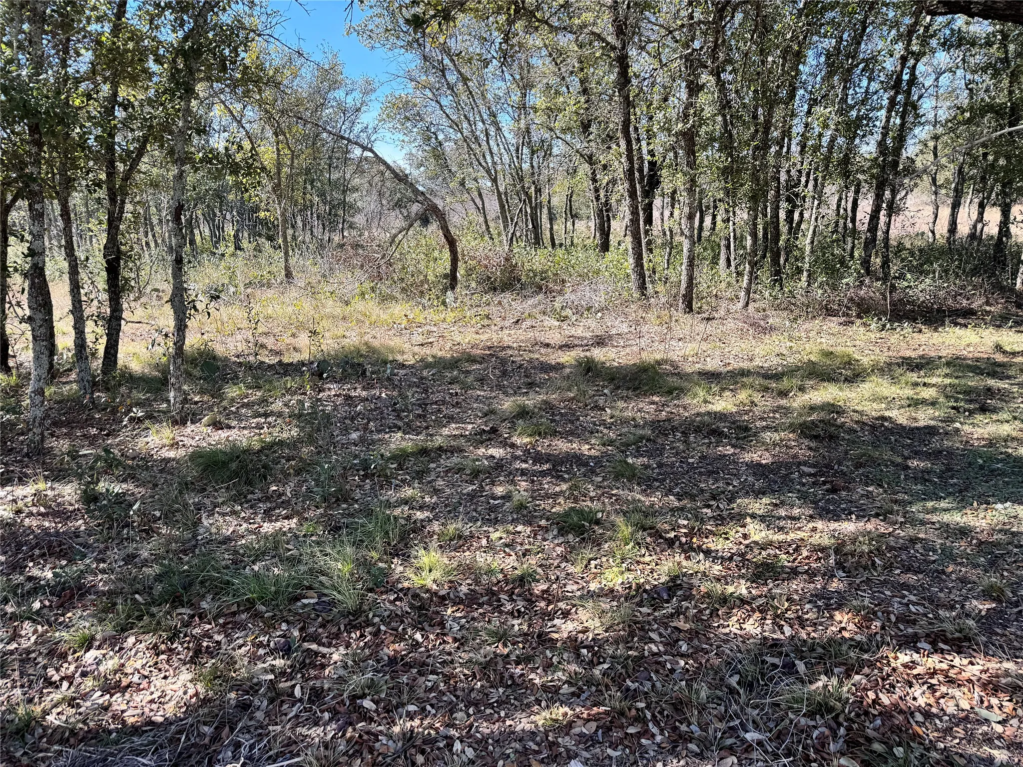 Unimproved Land For Sale in Brown County , TBD Lot 490 Sandcastle Drive, Brownwood, Texas 76801, 0, 0, Garage spaces, 0 Sqft, built in 0, mls#21396691, Real Estate Agent in Brownwood, Homes For Sale in Brown county, Homes For Sale in Brownwood, Realtor in Brownwood Texas, Real Estate Brokerage Independent Realty Texas, Luminita Cordes Realtor