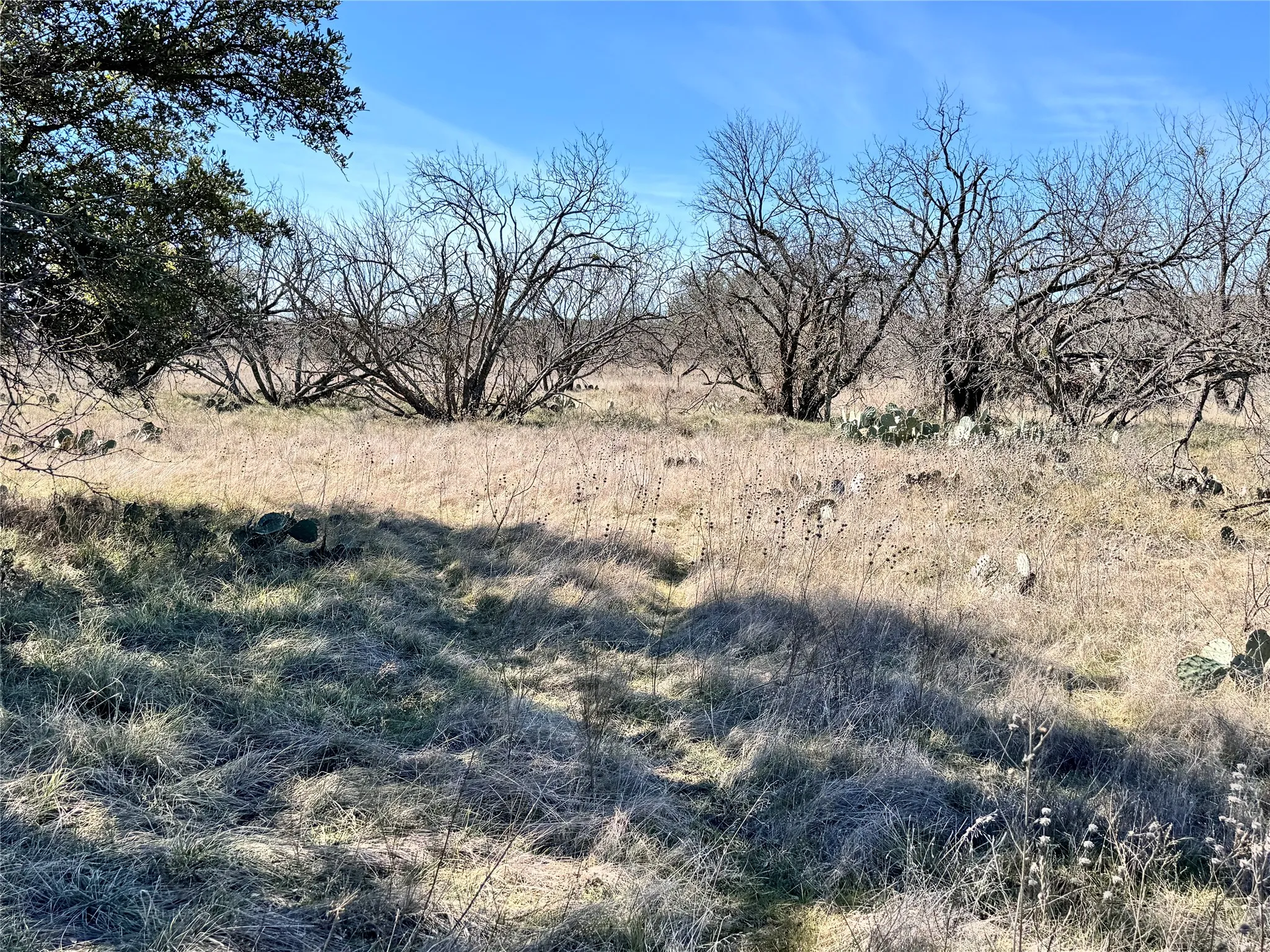 Unimproved Land For Sale in Brown County , TBD Lot 490 Sandcastle Drive, Brownwood, Texas 76801, 0, 0, Garage spaces, 0 Sqft, built in 0, mls#21396691, Real Estate Agent in Brownwood, Homes For Sale in Brown county, Homes For Sale in Brownwood, Realtor in Brownwood Texas, Real Estate Brokerage Independent Realty Texas, Luminita Cordes Realtor