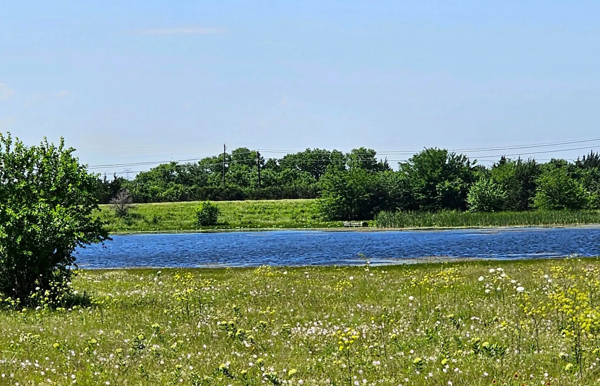 Unimproved Land For Sale in Rockwall County , 1543 Salt Lake, Rockwall, Texas 75032, 0, 0, Garage spaces, 0 Sqft, built in 0, mls#21396522, Real Estate Agent in Rockwall, Homes For Sale in Rockwall county, Homes For Sale in Rockwall, Realtor in Rockwall Texas, Real Estate Brokerage Independent Realty Texas, Luminita Cordes Realtor