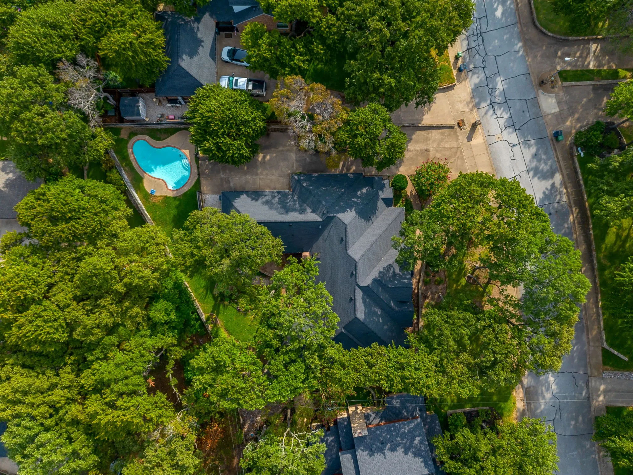 Dark shingle roof, mature tree canopy, manicured lawn, paved street, and a shaped swimming pool