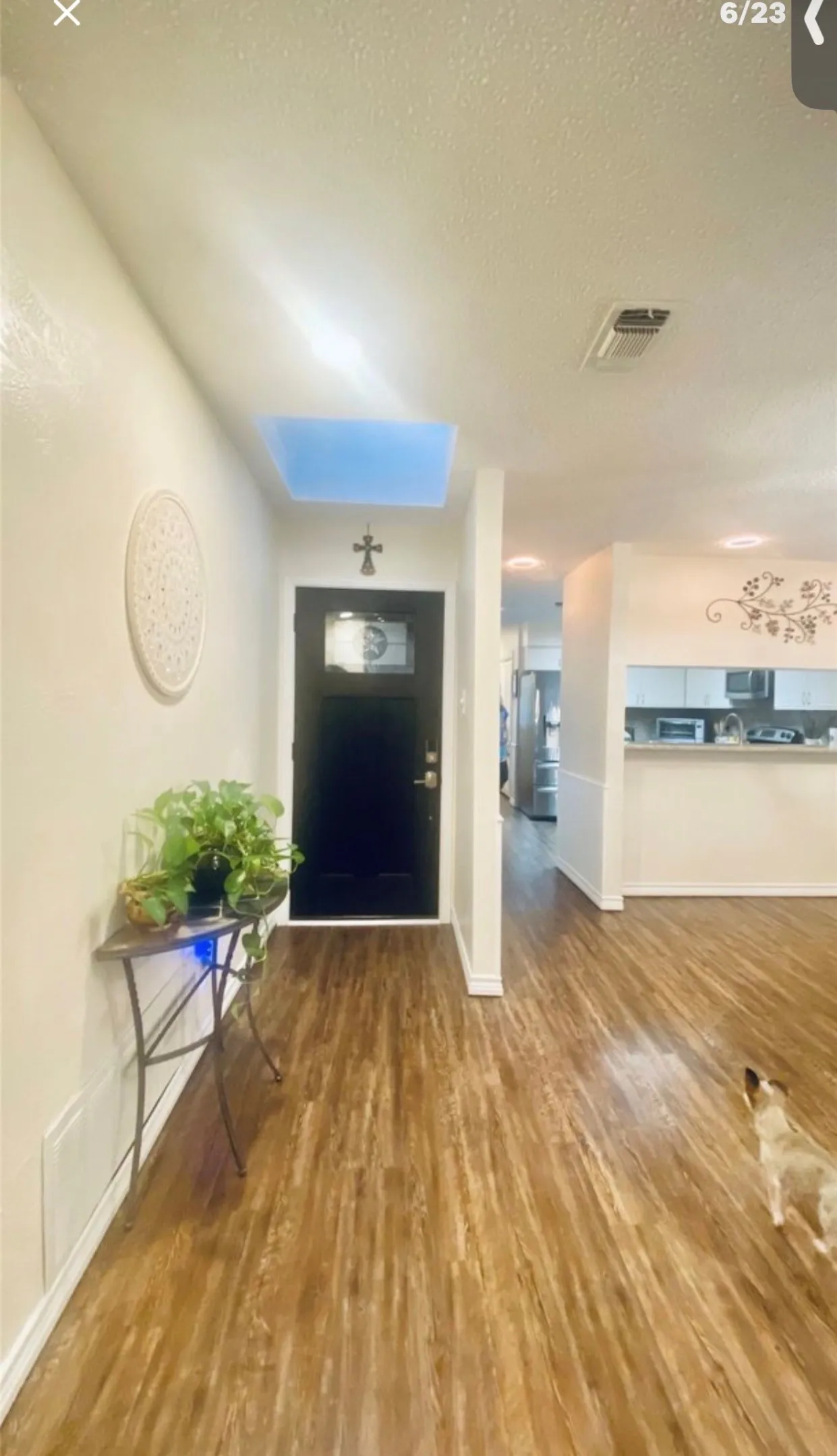 Interior entrance with skylight