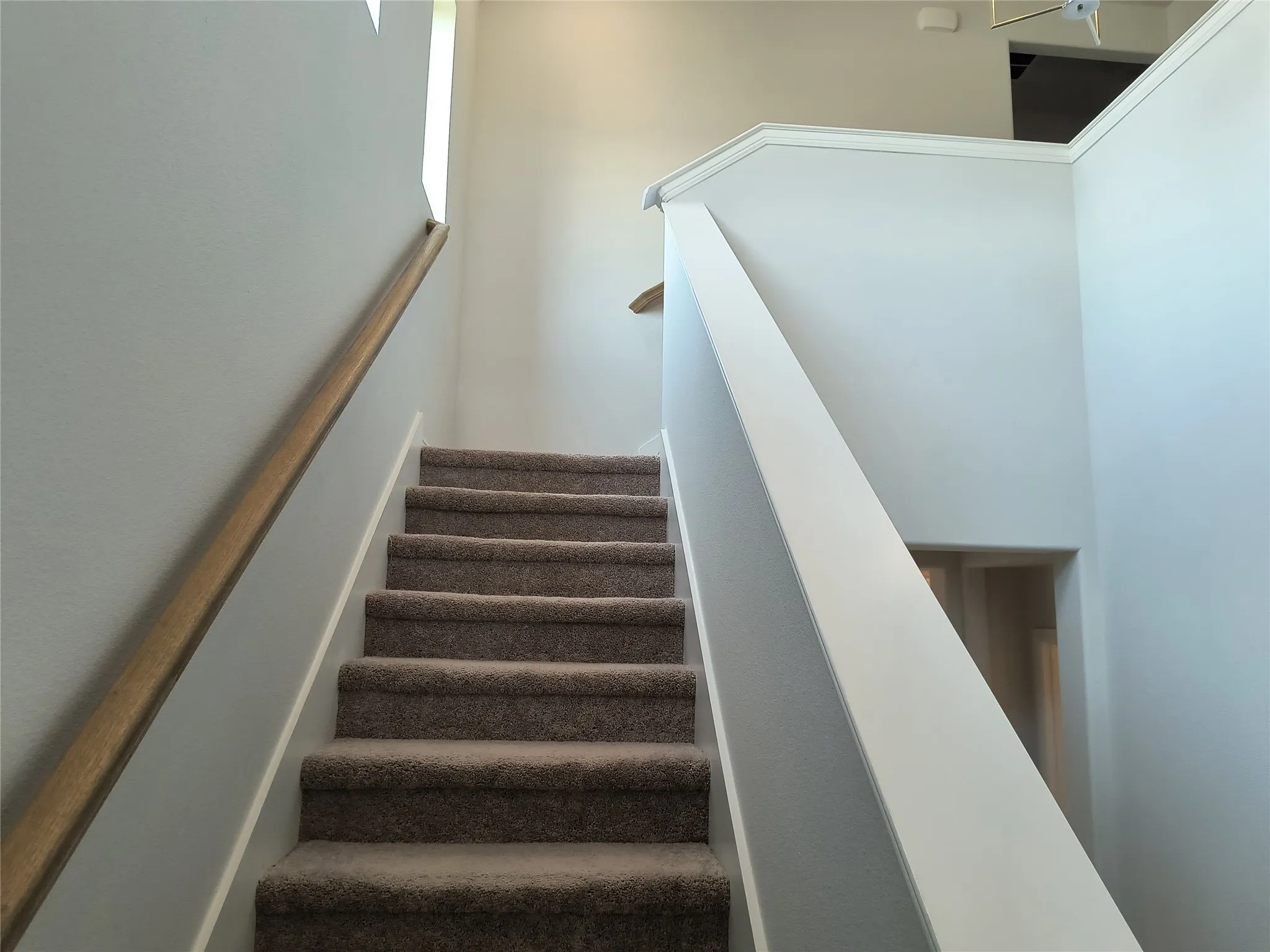 Carpeted staircase with a wood handrail and painted balustrade