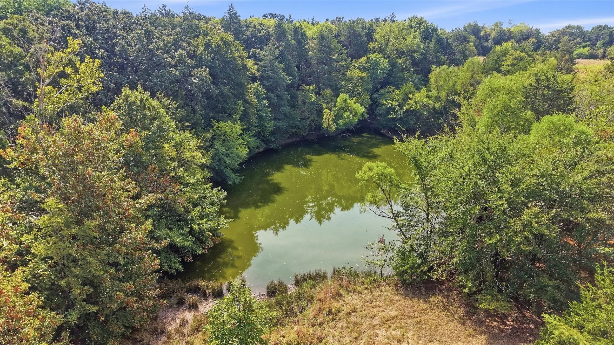 Farm For Sale in Grayson County , 4489 E FM 120, Denison, Texas 75021, 3 Bedroom, 3 Bathroom, 2 Garage spaces, 2,534 Sqft, built in 2005, mls#21394942, Real Estate Agent in Denison, Homes For Sale in Grayson county, Homes For Sale in Denison, Realtor in Denison Texas, Real Estate Brokerage Independent Realty Texas, Luminita Cordes Realtor