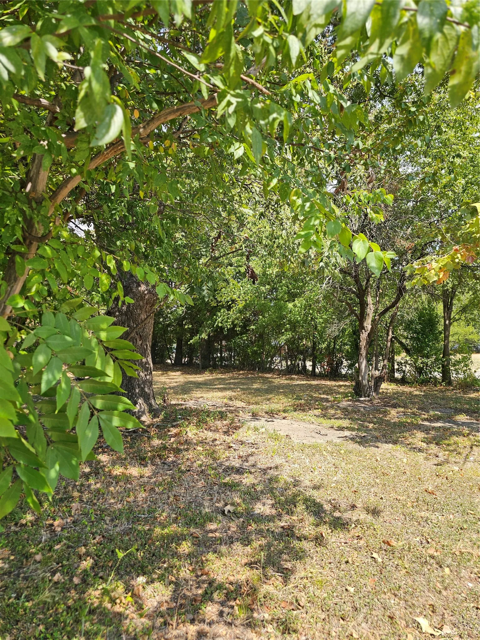 Corner lot featuring a variety of mature trees and natural landscaping