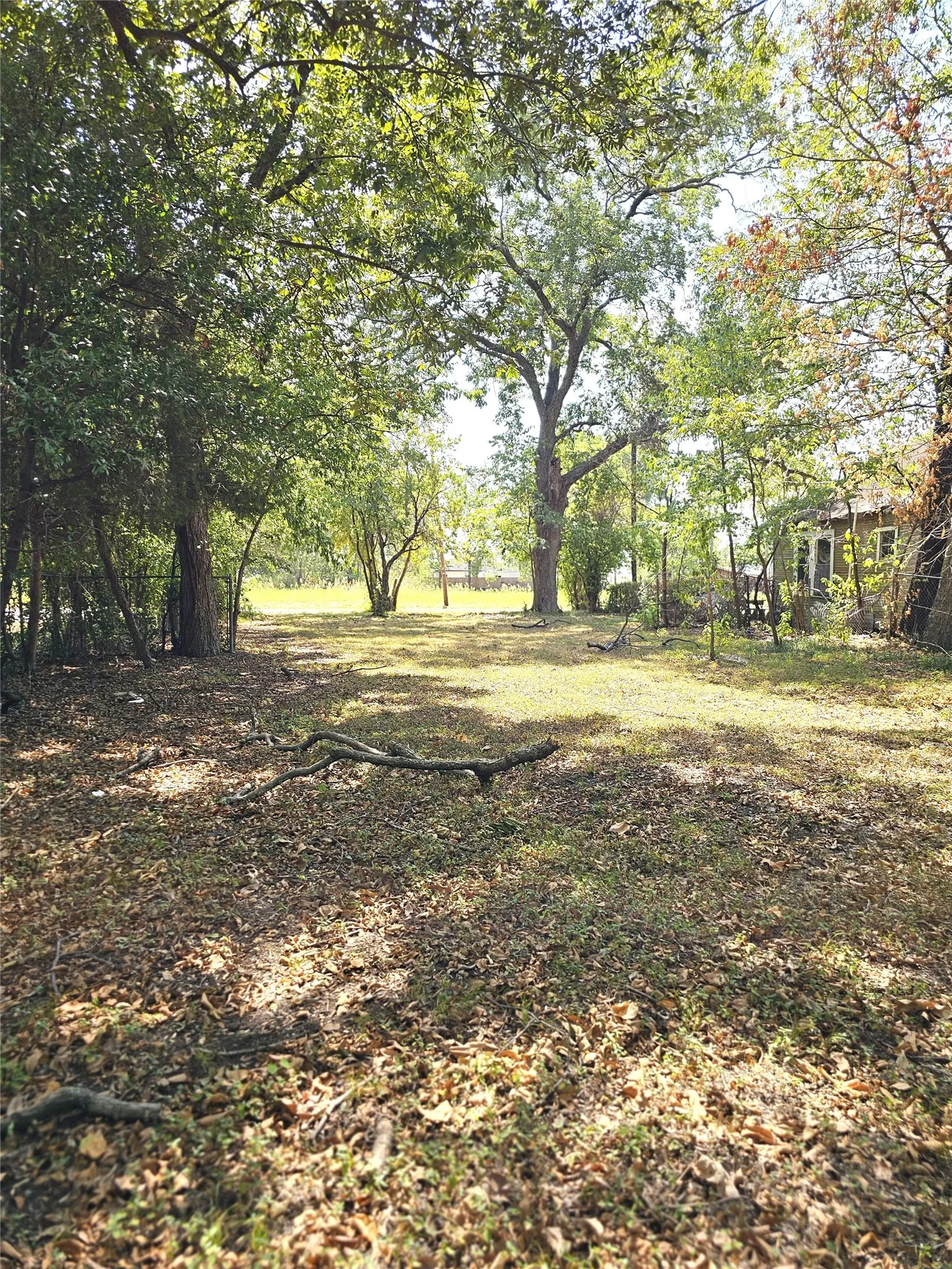 View from back of lot featuring mature trees and established ground cover