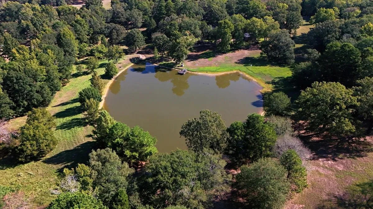 Single Family Residence For Sale in Wood County , 1135 County Road 2332, Mineola, Texas 75773, 4 Bedroom, 2 Bathroom, 4 Garage spaces, 3,065 Sqft, built in 1984, mls#21395079, Real Estate Agent in Mineola, Homes For Sale in Wood county, Homes For Sale in Mineola, Realtor in Mineola Texas, Real Estate Brokerage Independent Realty Texas, Luminita Cordes Realtor