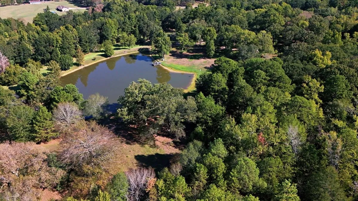 Single Family Residence For Sale in Wood County , 1135 County Road 2332, Mineola, Texas 75773, 4 Bedroom, 2 Bathroom, 4 Garage spaces, 3,065 Sqft, built in 1984, mls#21395079, Real Estate Agent in Mineola, Homes For Sale in Wood county, Homes For Sale in Mineola, Realtor in Mineola Texas, Real Estate Brokerage Independent Realty Texas, Luminita Cordes Realtor