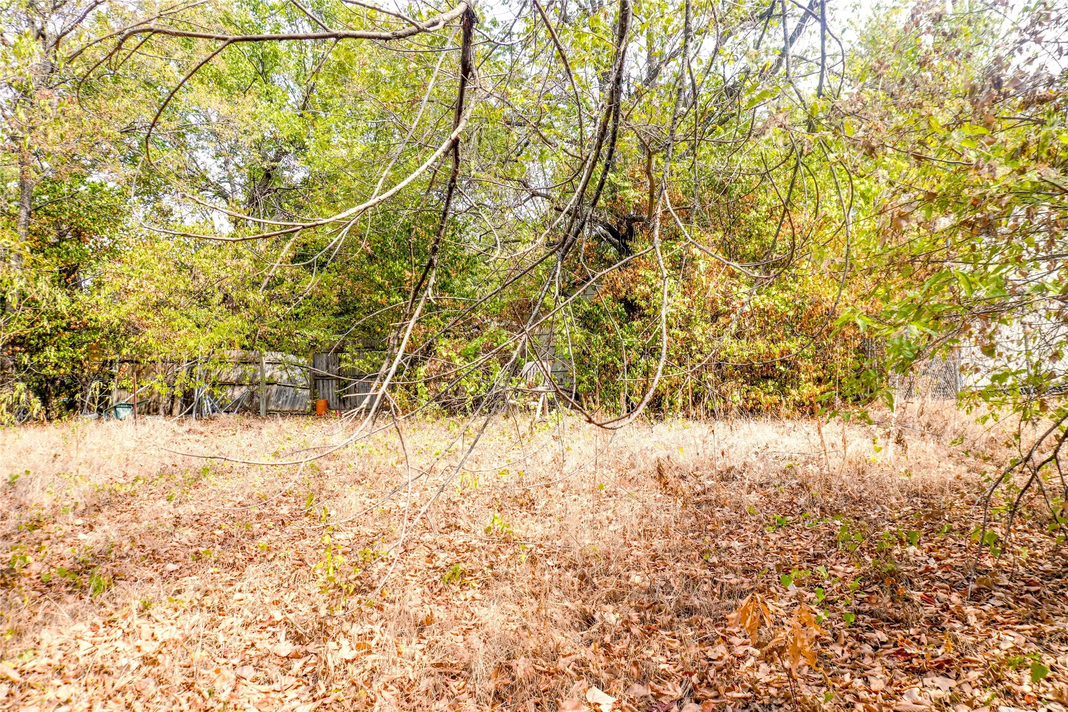 Mature trees framing the property