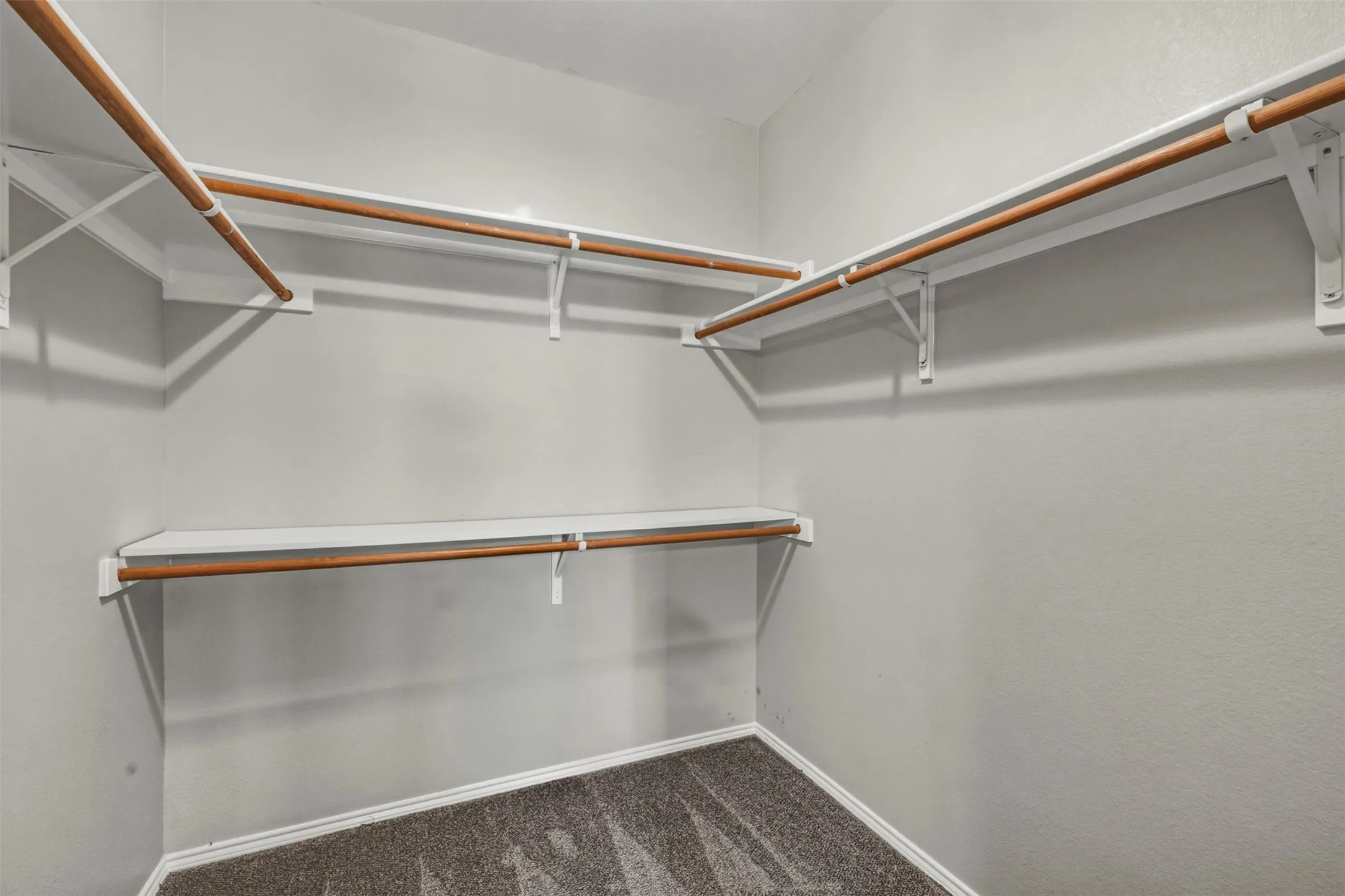 Walk-in closet with multi-level shelving, integrated hanging rods, and carpet flooring