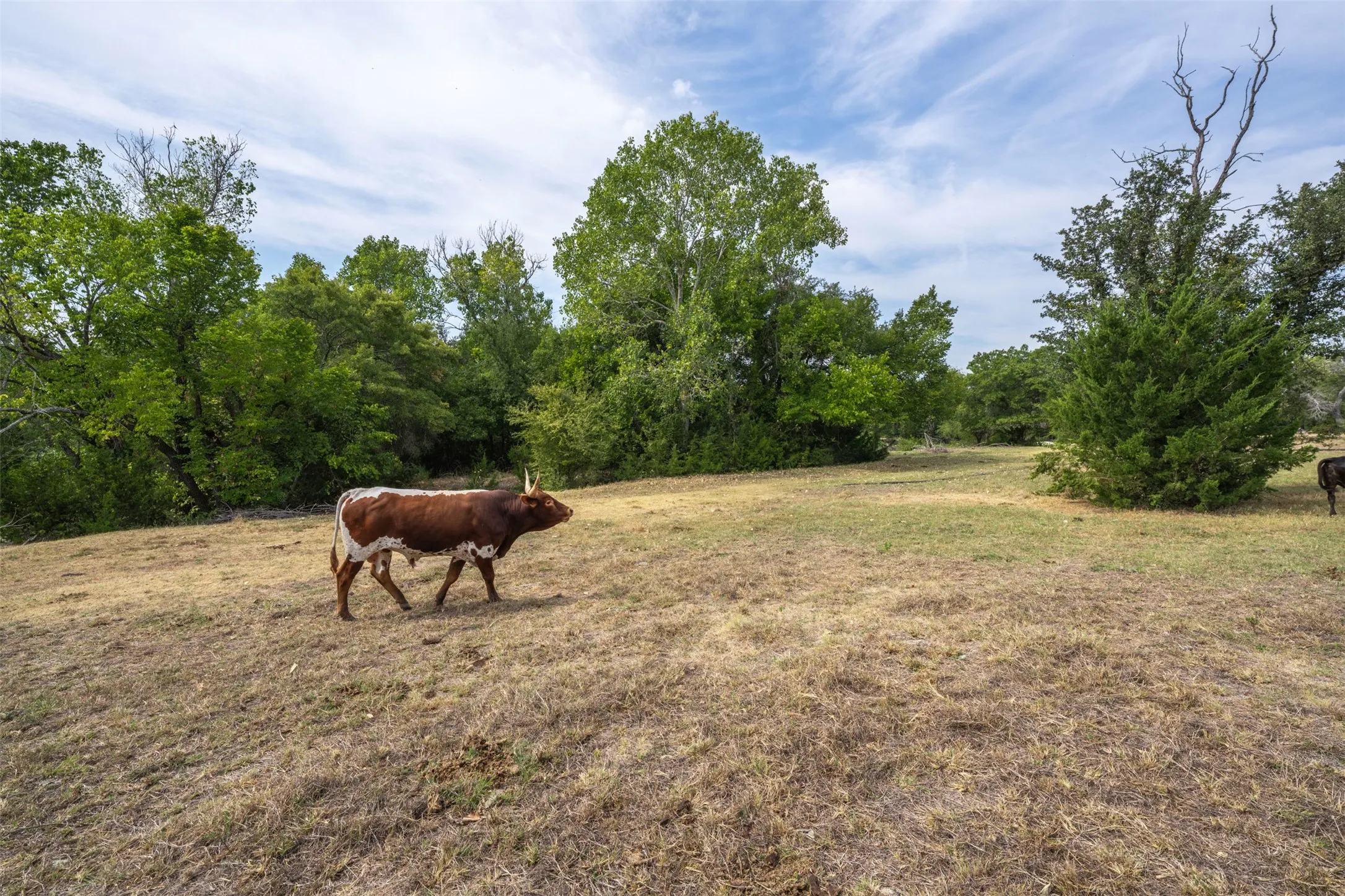 Improved Land For Sale in Parker County , 7003 E Bankhead Highway, Willow Park, Texas 76008, 0, 0, Garage spaces, 0 Sqft, built in 0, mls#21396779, Real Estate Agent in Willow Park, Homes For Sale in Parker county, Homes For Sale in Willow Park, Realtor in Willow Park Texas, Real Estate Brokerage Independent Realty Texas, Luminita Cordes Realtor