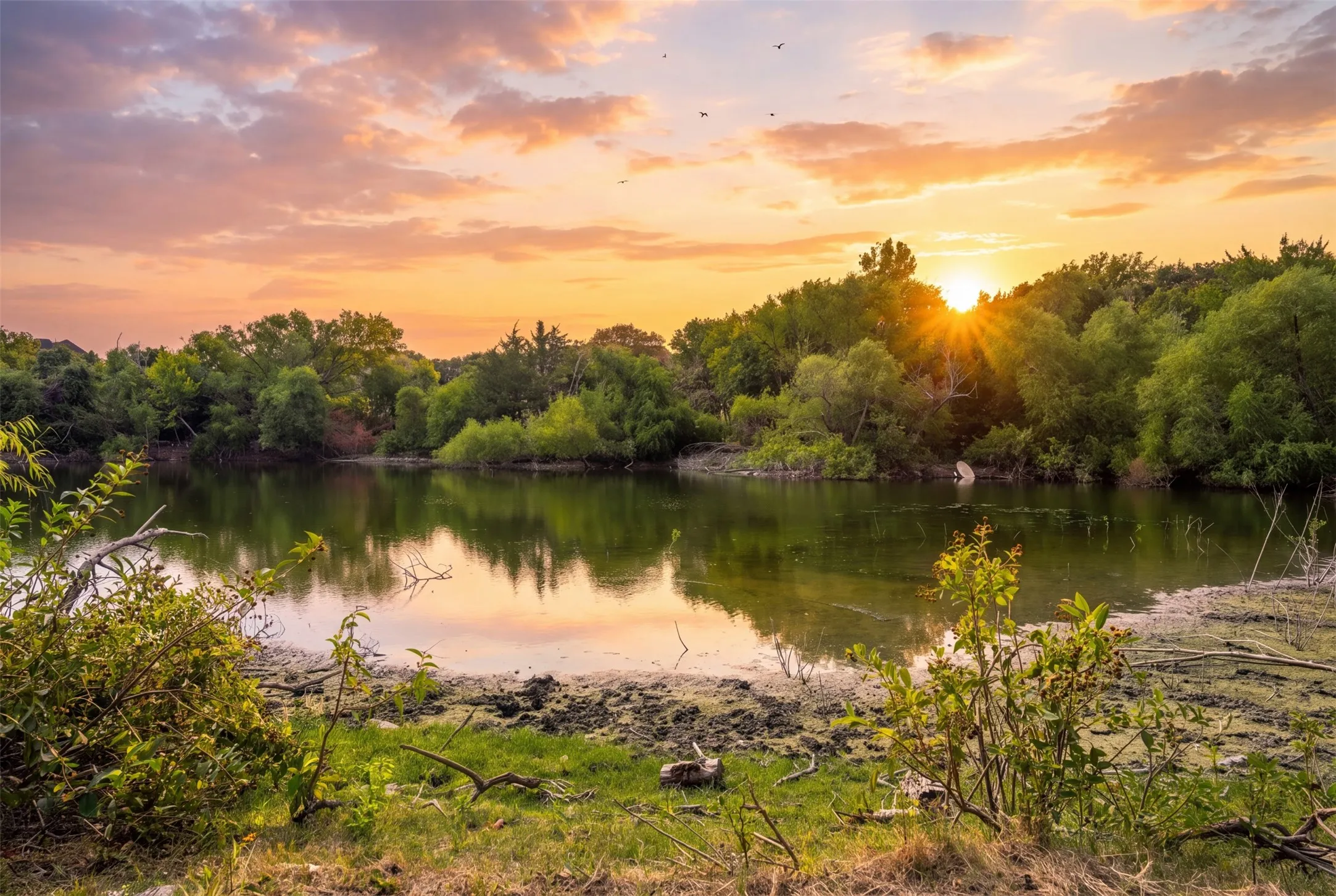 Improved Land For Sale in Parker County , 7003 E Bankhead Highway, Willow Park, Texas 76008, 0, 0, Garage spaces, 0 Sqft, built in 0, mls#21396779, Real Estate Agent in Willow Park, Homes For Sale in Parker county, Homes For Sale in Willow Park, Realtor in Willow Park Texas, Real Estate Brokerage Independent Realty Texas, Luminita Cordes Realtor