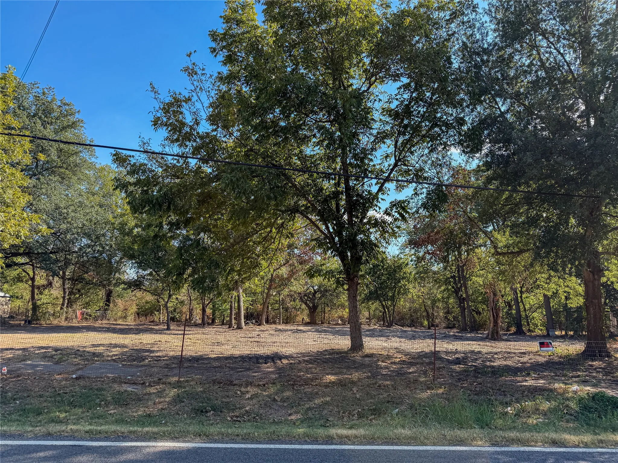 Expansive lot featuring mature trees and a clear blue sky