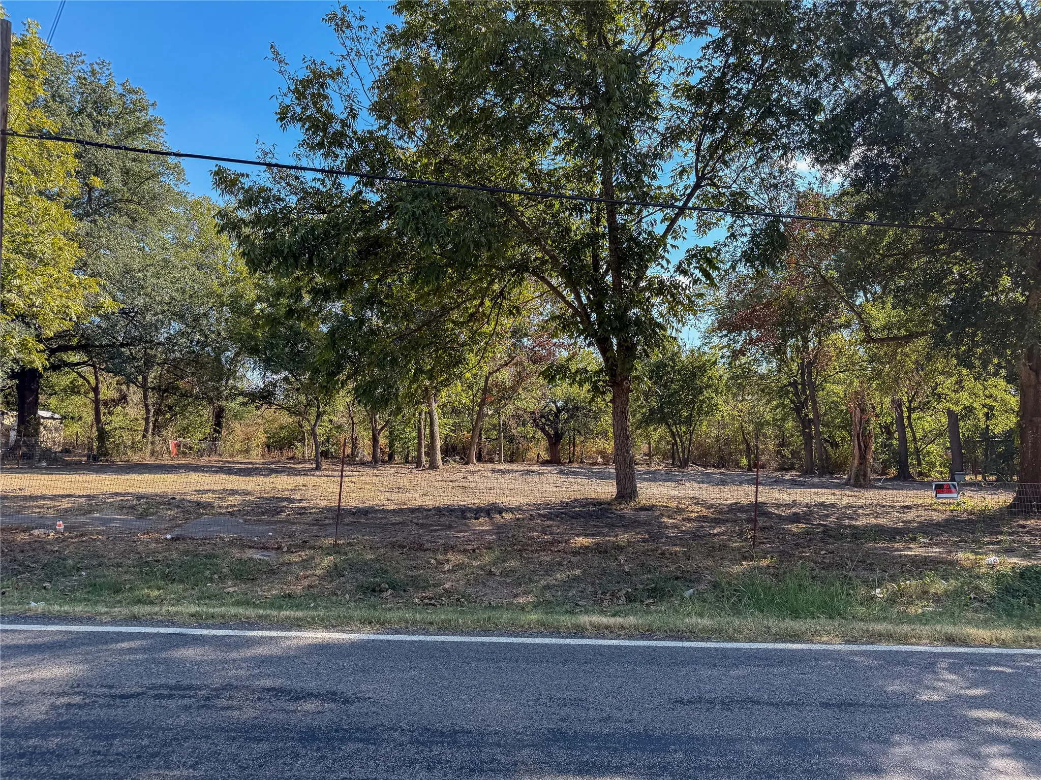 Expansive wooded lot with mature trees and visible road frontage
