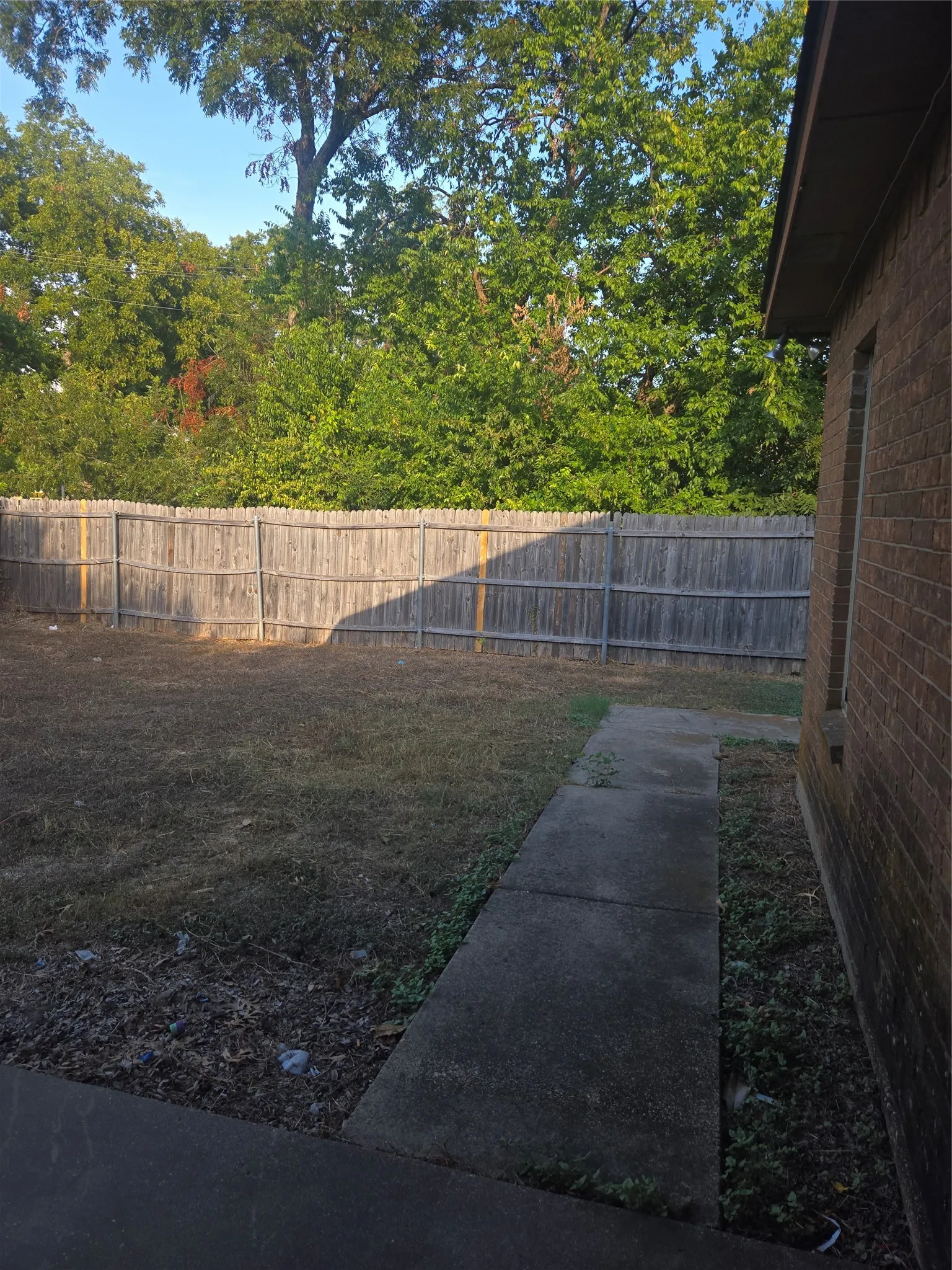 Backyard
