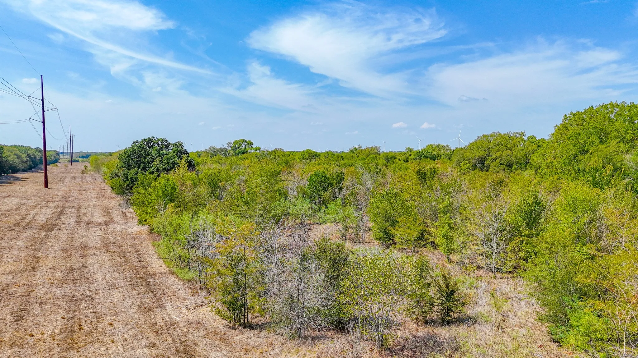 Unimproved Land For Sale in Navarro County , Tbd 27 acres Fm 642, Purdon, Texas 76679, 0, 0, Garage spaces, 0 Sqft, built in 0, mls#21387720, Real Estate Agent in Purdon, Homes For Sale in Navarro county, Homes For Sale in Purdon, Realtor in Purdon Texas, Real Estate Brokerage Independent Realty Texas, Luminita Cordes Realtor