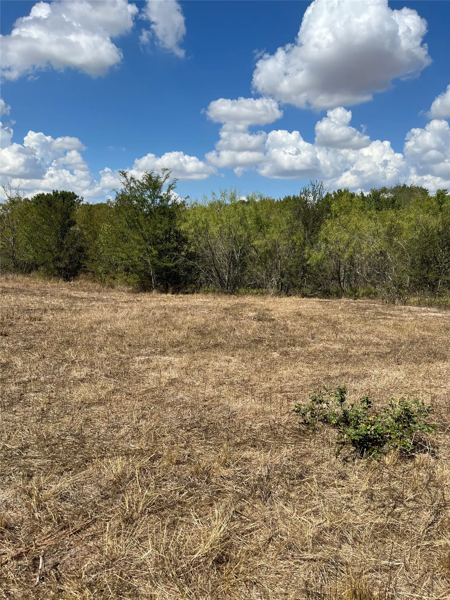 Unimproved Land For Sale in Navarro County , Tbd 27 acres Fm 642, Purdon, Texas 76679, 0, 0, Garage spaces, 0 Sqft, built in 0, mls#21387720, Real Estate Agent in Purdon, Homes For Sale in Navarro county, Homes For Sale in Purdon, Realtor in Purdon Texas, Real Estate Brokerage Independent Realty Texas, Luminita Cordes Realtor