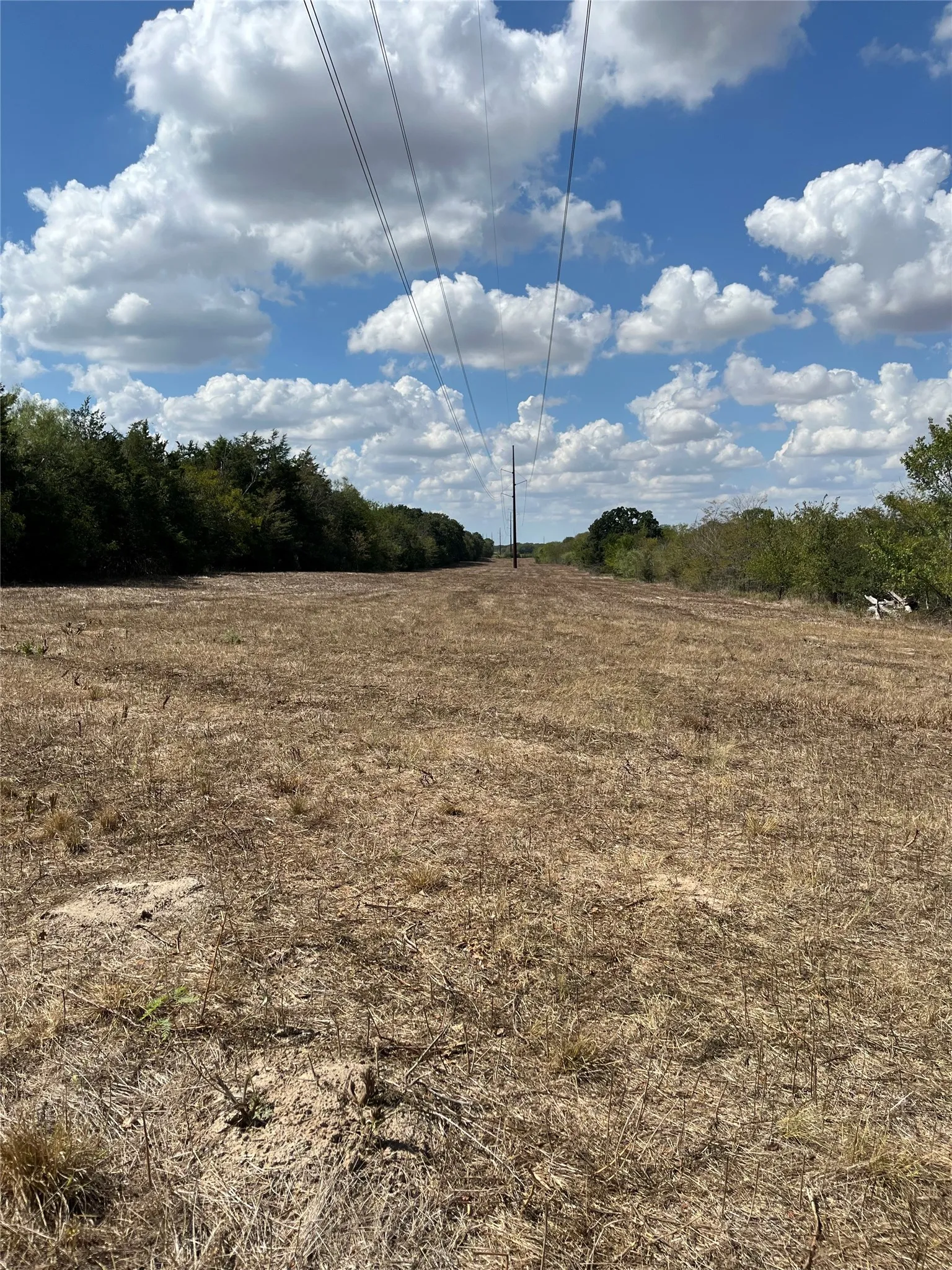 Unimproved Land For Sale in Navarro County , Tbd 27 acres Fm 642, Purdon, Texas 76679, 0, 0, Garage spaces, 0 Sqft, built in 0, mls#21387720, Real Estate Agent in Purdon, Homes For Sale in Navarro county, Homes For Sale in Purdon, Realtor in Purdon Texas, Real Estate Brokerage Independent Realty Texas, Luminita Cordes Realtor
