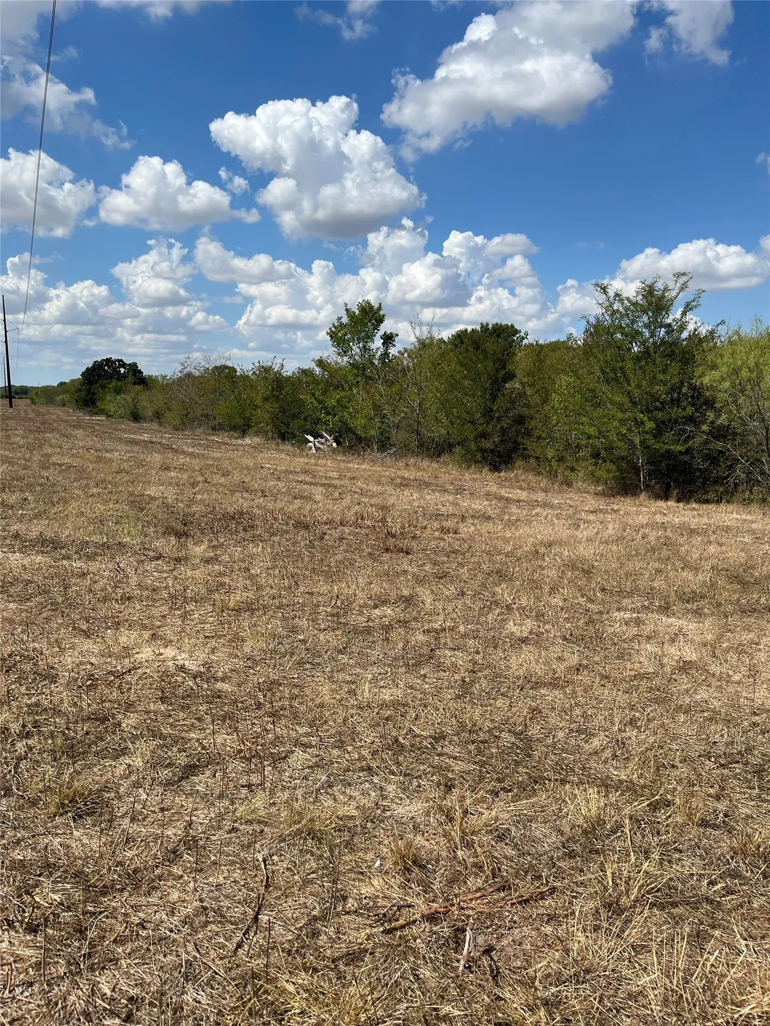 Unimproved Land For Sale in Navarro County , Tbd 27 acres Fm 642, Purdon, Texas 76679, 0, 0, Garage spaces, 0 Sqft, built in 0, mls#21387720, Real Estate Agent in Purdon, Homes For Sale in Navarro county, Homes For Sale in Purdon, Realtor in Purdon Texas, Real Estate Brokerage Independent Realty Texas, Luminita Cordes Realtor