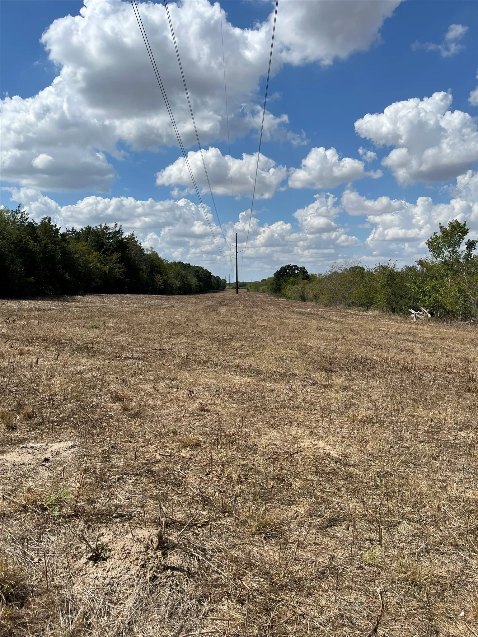 Unimproved Land For Sale in Navarro County , Tbd 27 acres Fm 642, Purdon, Texas 76679, 0, 0, Garage spaces, 0 Sqft, built in 0, mls#21387720, Real Estate Agent in Purdon, Homes For Sale in Navarro county, Homes For Sale in Purdon, Realtor in Purdon Texas, Real Estate Brokerage Independent Realty Texas, Luminita Cordes Realtor