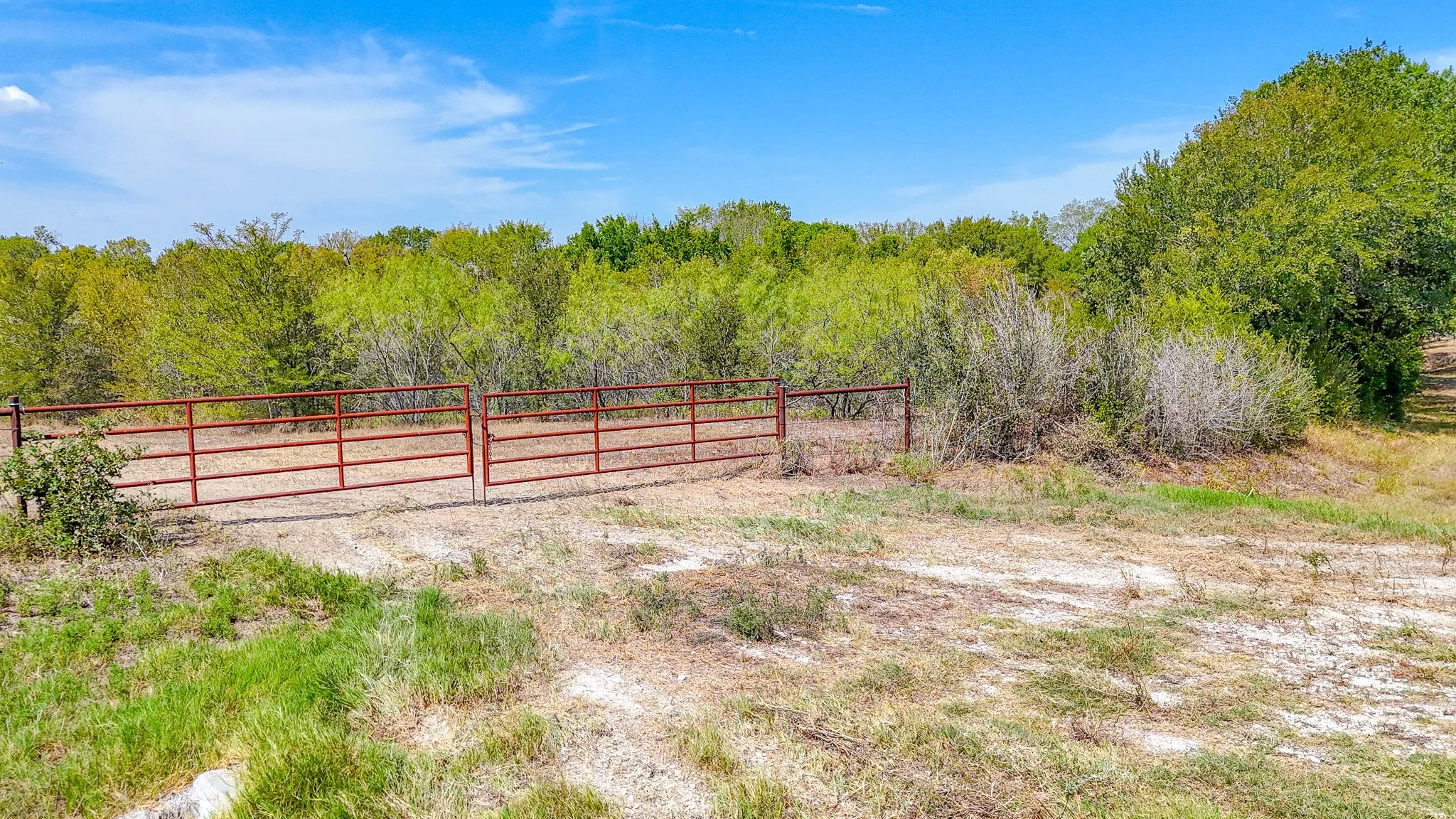 Unimproved Land For Sale in Navarro County , Tbd 27 acres Fm 642, Purdon, Texas 76679, 0, 0, Garage spaces, 0 Sqft, built in 0, mls#21387720, Real Estate Agent in Purdon, Homes For Sale in Navarro county, Homes For Sale in Purdon, Realtor in Purdon Texas, Real Estate Brokerage Independent Realty Texas, Luminita Cordes Realtor