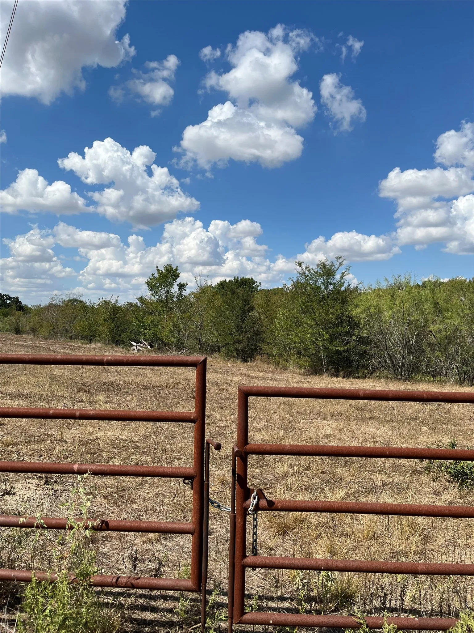 Unimproved Land For Sale in Navarro County , Tbd 27 acres Fm 642, Purdon, Texas 76679, 0, 0, Garage spaces, 0 Sqft, built in 0, mls#21387720, Real Estate Agent in Purdon, Homes For Sale in Navarro county, Homes For Sale in Purdon, Realtor in Purdon Texas, Real Estate Brokerage Independent Realty Texas, Luminita Cordes Realtor