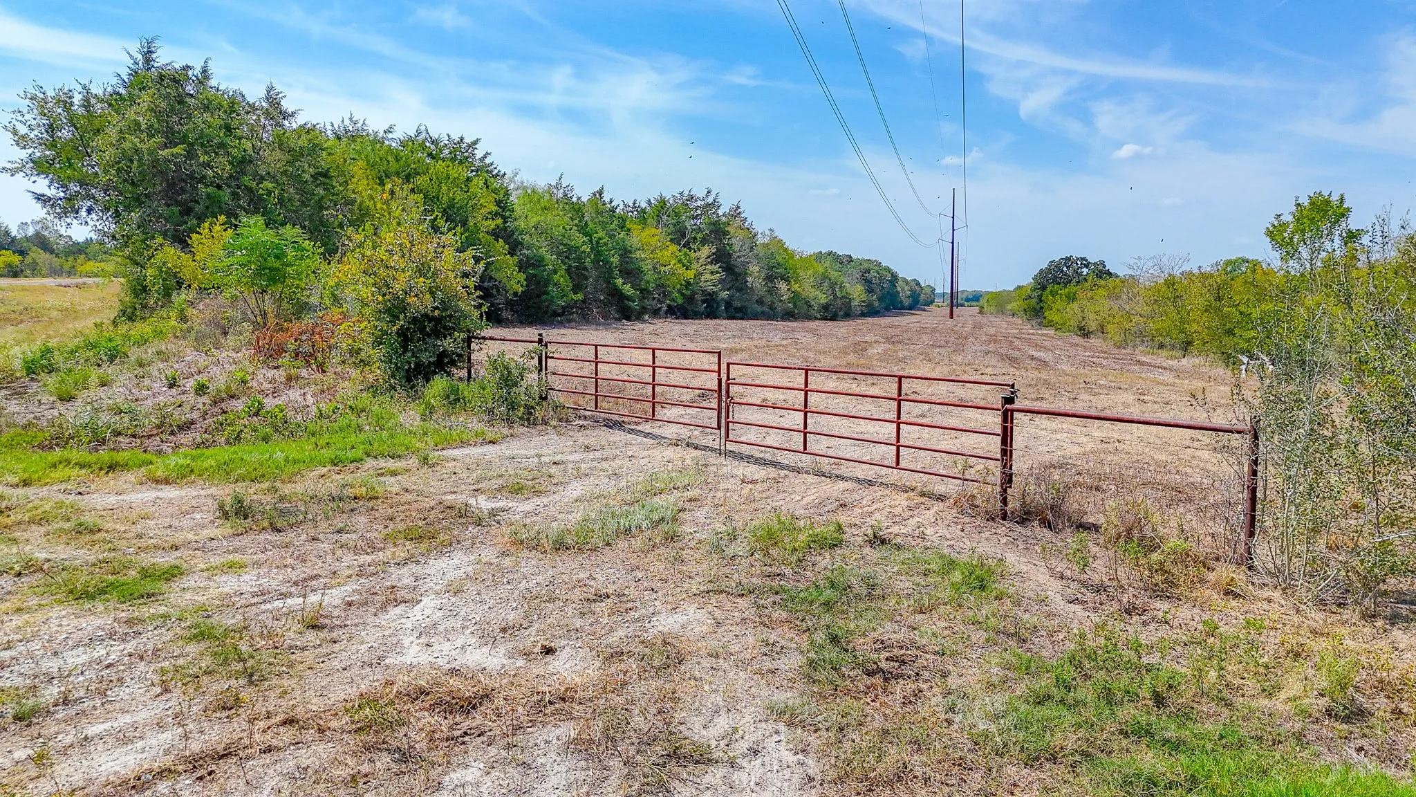 Unimproved Land For Sale in Navarro County , Tbd 27 acres Fm 642, Purdon, Texas 76679, 0, 0, Garage spaces, 0 Sqft, built in 0, mls#21387720, Real Estate Agent in Purdon, Homes For Sale in Navarro county, Homes For Sale in Purdon, Realtor in Purdon Texas, Real Estate Brokerage Independent Realty Texas, Luminita Cordes Realtor
