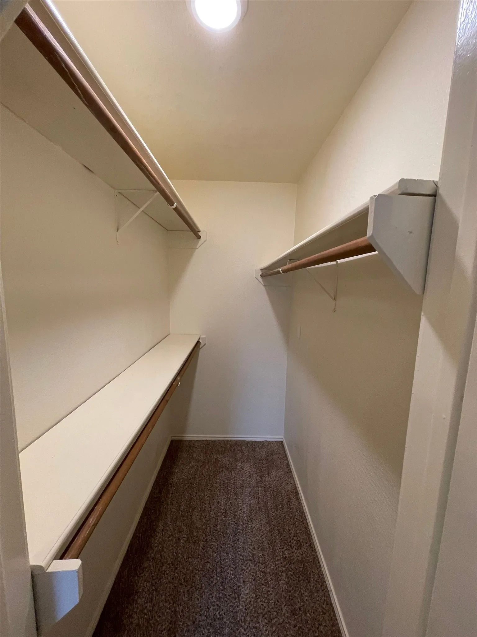 Recessed ceiling light, built-in shelving, integrated hanging rods, and carpet flooring