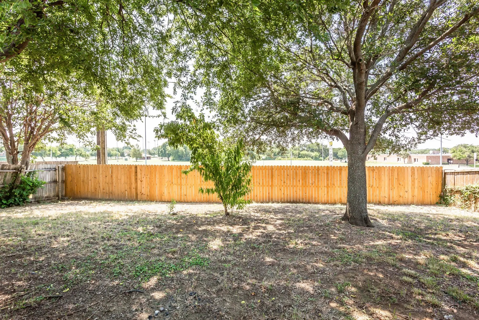Fenced backyard with mature trees and a smaller tree