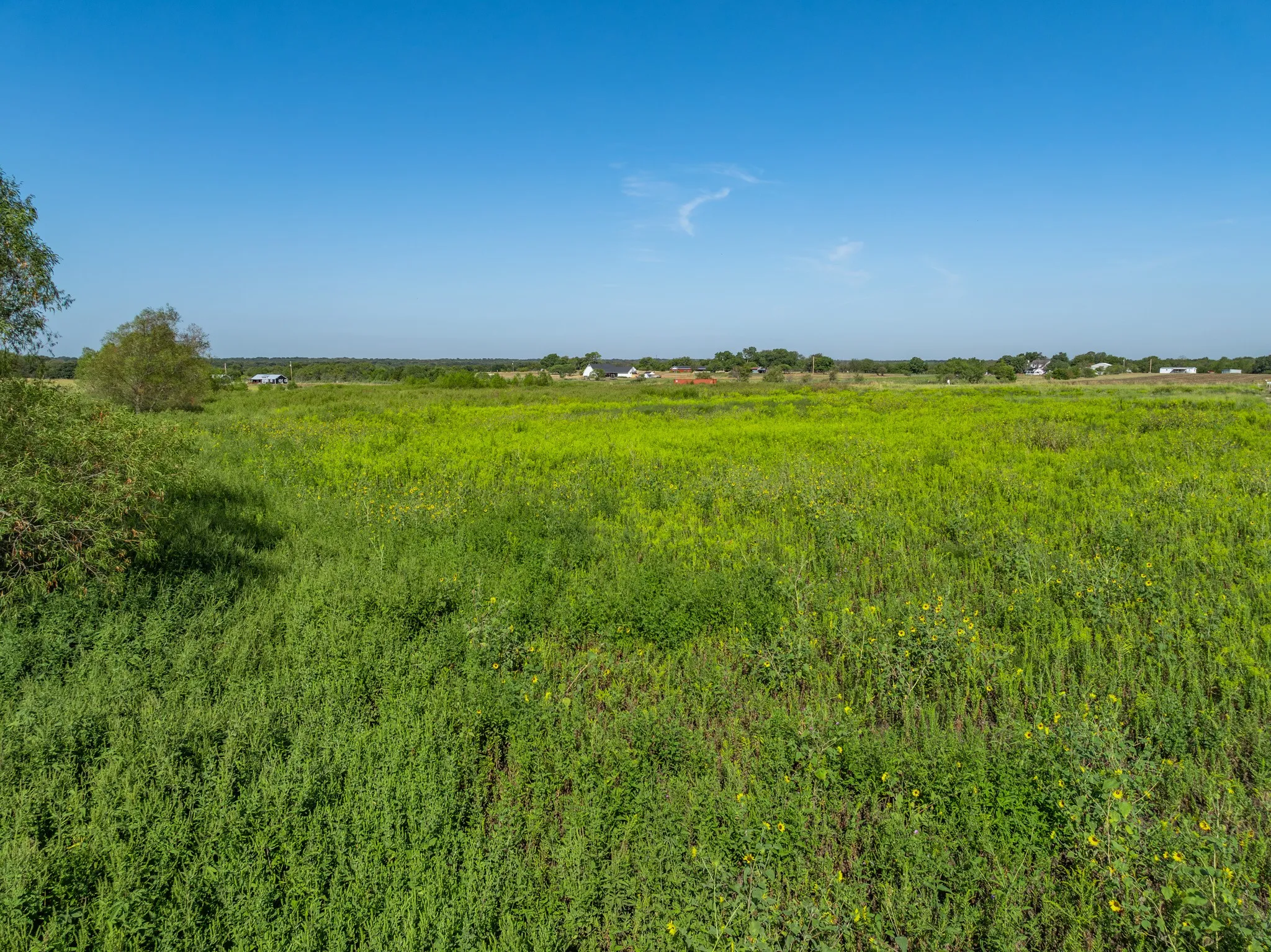 Unimproved Land For Sale in Hill County , TBD Ranch 4 Hcr-4105, Covington, Texas 76636, 0, 0, Garage spaces, 0 Sqft, built in 0, mls#21395862, Real Estate Agent in Covington, Homes For Sale in Hill county, Homes For Sale in Covington, Realtor in Covington Texas, Real Estate Brokerage Independent Realty Texas, Luminita Cordes Realtor
