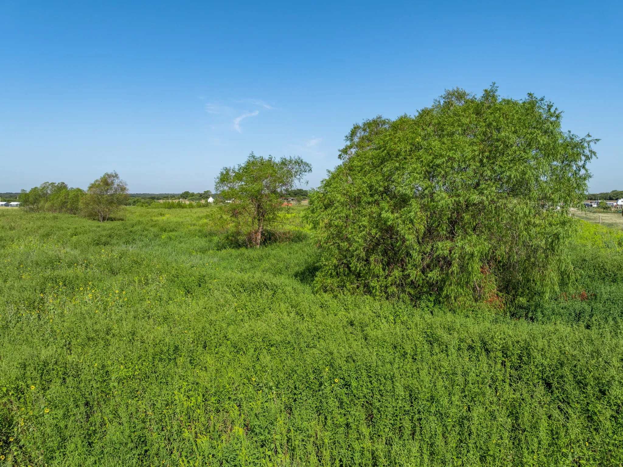 Unimproved Land For Sale in Hill County , TBD Ranch 4 Hcr-4105, Covington, Texas 76636, 0, 0, Garage spaces, 0 Sqft, built in 0, mls#21395862, Real Estate Agent in Covington, Homes For Sale in Hill county, Homes For Sale in Covington, Realtor in Covington Texas, Real Estate Brokerage Independent Realty Texas, Luminita Cordes Realtor