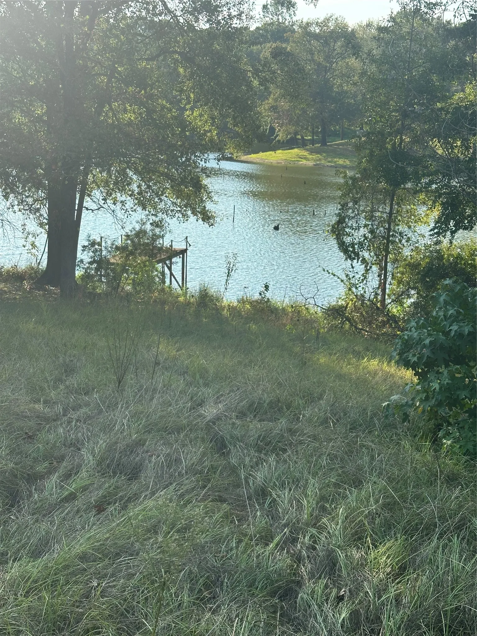 Lake Frontage