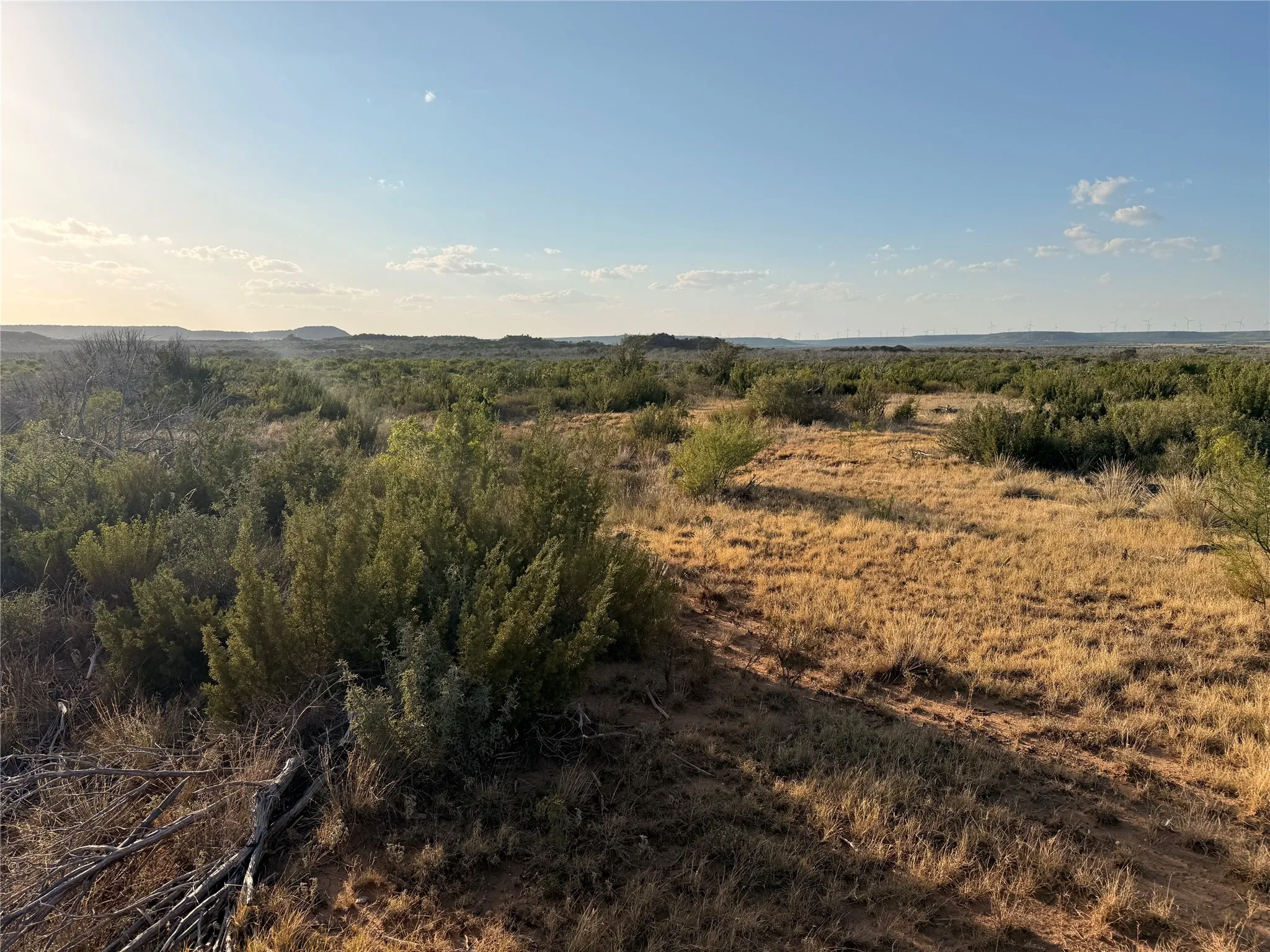 Unimproved Land For Sale in Taylor County , TBD-Division 6 County Road 343, Merkel, Texas 79536, 0, 0, Garage spaces, 0 Sqft, built in 0, mls#21392426, Real Estate Agent in Merkel, Homes For Sale in Taylor county, Homes For Sale in Merkel, Realtor in Merkel Texas, Real Estate Brokerage Independent Realty Texas, Luminita Cordes Realtor