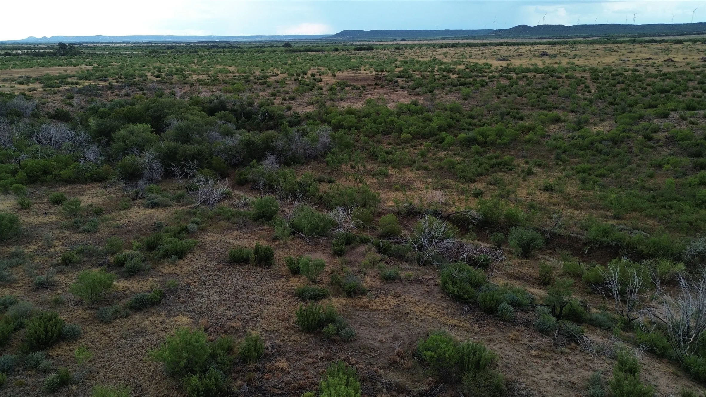 Unimproved Land For Sale in Taylor County , TBD-Division 6 County Road 343, Merkel, Texas 79536, 0, 0, Garage spaces, 0 Sqft, built in 0, mls#21392426, Real Estate Agent in Merkel, Homes For Sale in Taylor county, Homes For Sale in Merkel, Realtor in Merkel Texas, Real Estate Brokerage Independent Realty Texas, Luminita Cordes Realtor