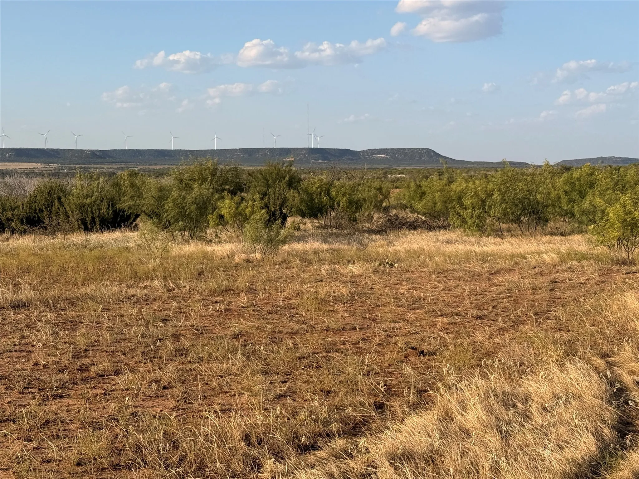Unimproved Land For Sale in Taylor County , TBD-Division 6 County Road 343, Merkel, Texas 79536, 0, 0, Garage spaces, 0 Sqft, built in 0, mls#21392426, Real Estate Agent in Merkel, Homes For Sale in Taylor county, Homes For Sale in Merkel, Realtor in Merkel Texas, Real Estate Brokerage Independent Realty Texas, Luminita Cordes Realtor