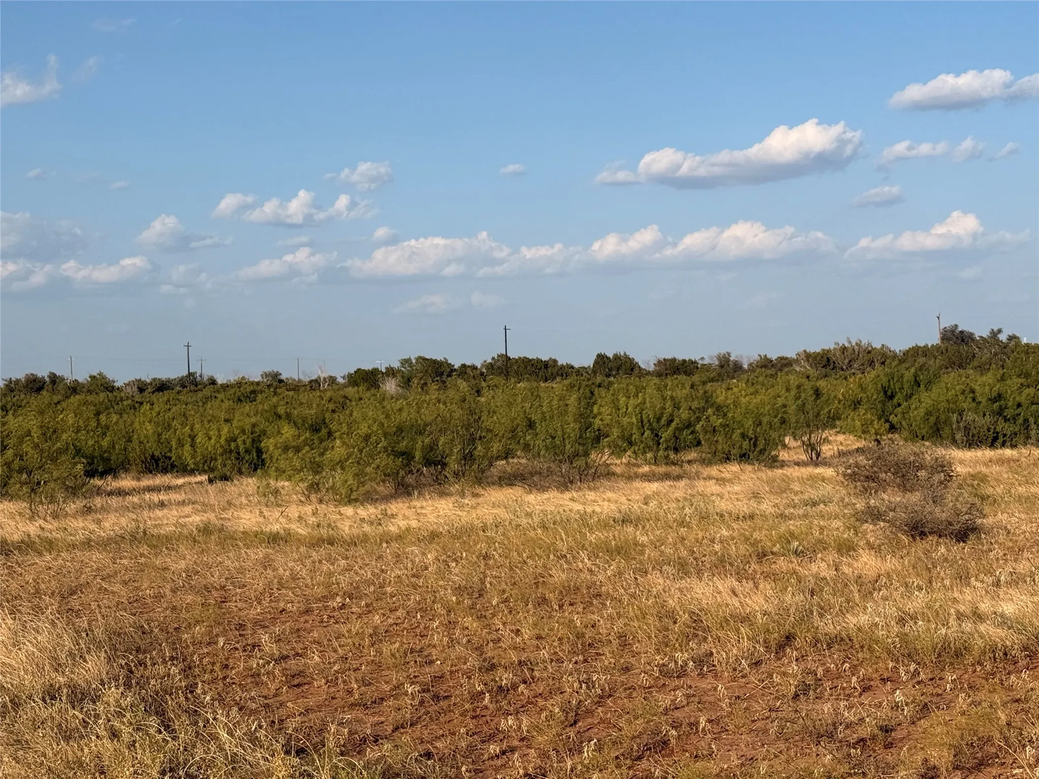 Unimproved Land For Sale in Taylor County , TBD-Division 6 County Road 343, Merkel, Texas 79536, 0, 0, Garage spaces, 0 Sqft, built in 0, mls#21392426, Real Estate Agent in Merkel, Homes For Sale in Taylor county, Homes For Sale in Merkel, Realtor in Merkel Texas, Real Estate Brokerage Independent Realty Texas, Luminita Cordes Realtor