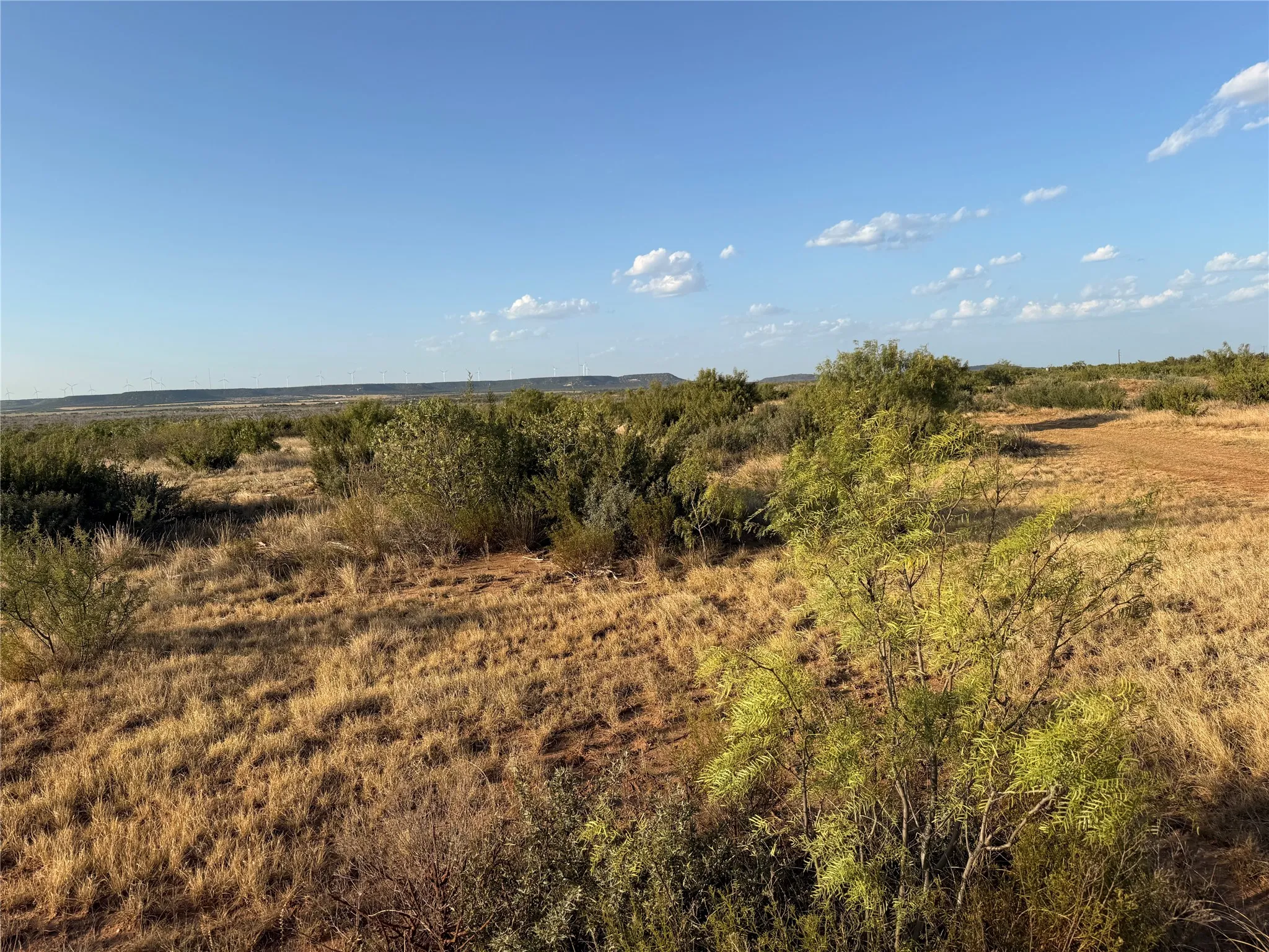 Unimproved Land For Sale in Taylor County , TBD-Division 6 County Road 343, Merkel, Texas 79536, 0, 0, Garage spaces, 0 Sqft, built in 0, mls#21392426, Real Estate Agent in Merkel, Homes For Sale in Taylor county, Homes For Sale in Merkel, Realtor in Merkel Texas, Real Estate Brokerage Independent Realty Texas, Luminita Cordes Realtor