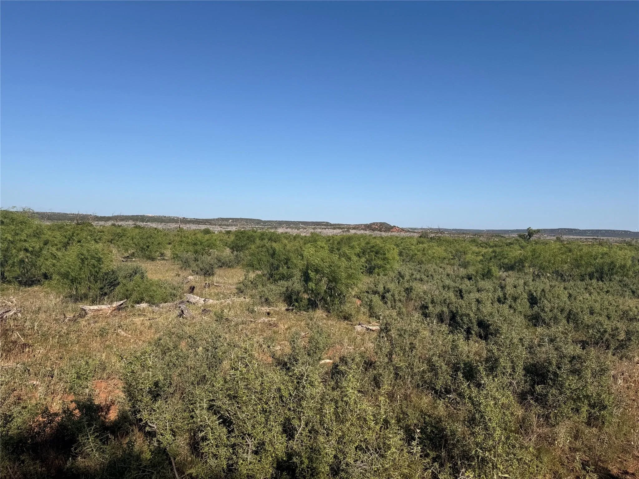 Ranch For Sale in Taylor County , 167 acres TBD CR 343, Merkel, Texas 79536, 0, 0, Garage spaces, 0 Sqft, built in 0, mls#21396846, Real Estate Agent in Merkel, Homes For Sale in Taylor county, Homes For Sale in Merkel, Realtor in Merkel Texas, Real Estate Brokerage Independent Realty Texas, Luminita Cordes Realtor