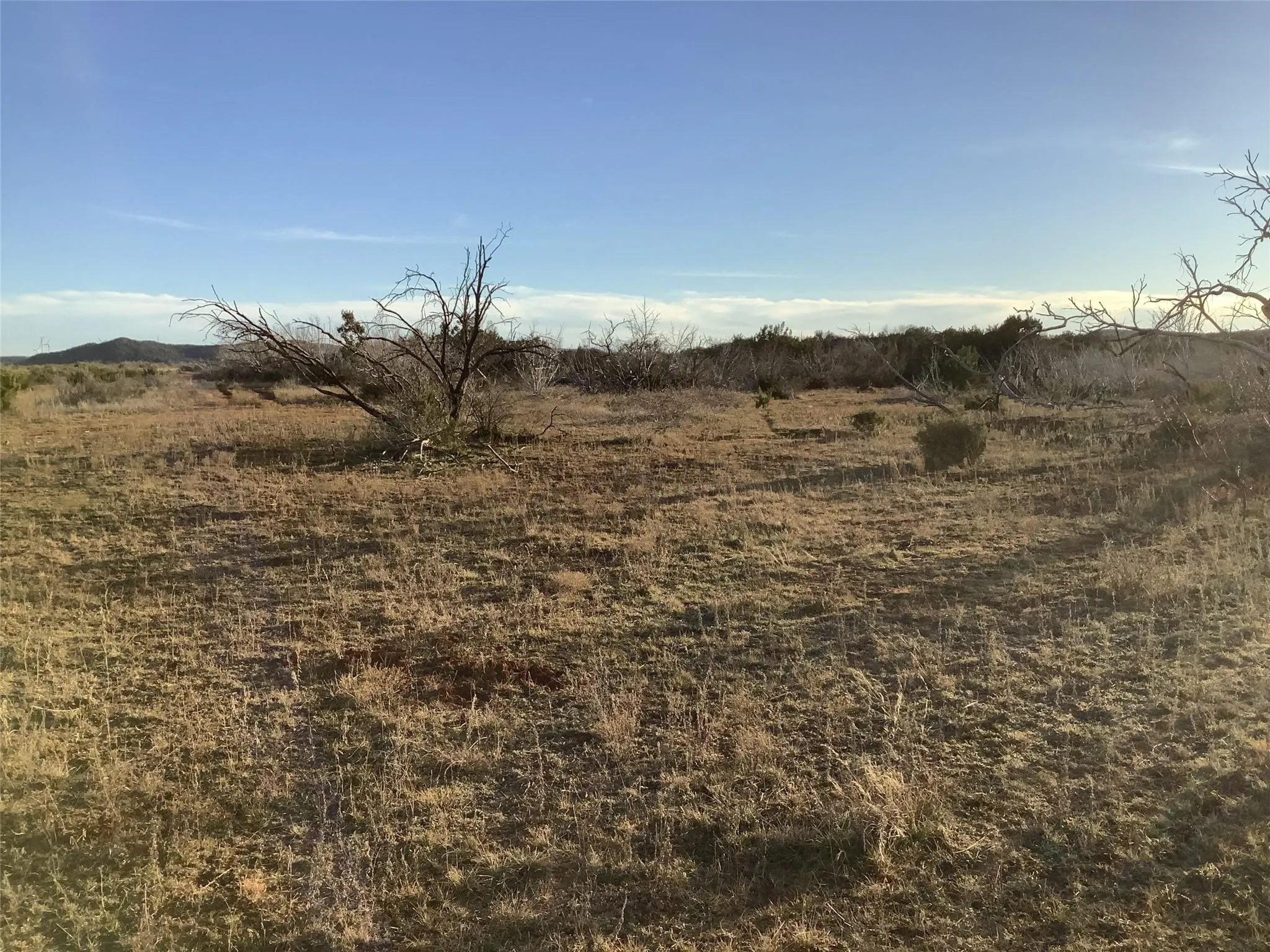 Ranch For Sale in Taylor County , 167 acres TBD CR 343, Merkel, Texas 79536, 0, 0, Garage spaces, 0 Sqft, built in 0, mls#21396846, Real Estate Agent in Merkel, Homes For Sale in Taylor county, Homes For Sale in Merkel, Realtor in Merkel Texas, Real Estate Brokerage Independent Realty Texas, Luminita Cordes Realtor
