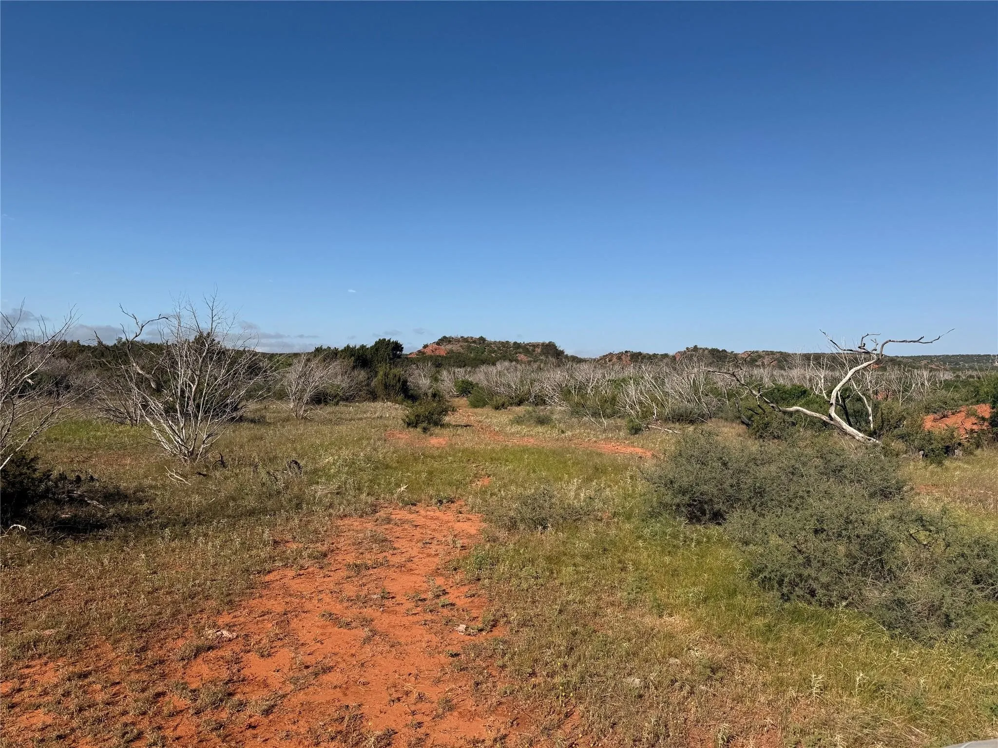 Ranch For Sale in Taylor County , 167 acres TBD CR 343, Merkel, Texas 79536, 0, 0, Garage spaces, 0 Sqft, built in 0, mls#21396846, Real Estate Agent in Merkel, Homes For Sale in Taylor county, Homes For Sale in Merkel, Realtor in Merkel Texas, Real Estate Brokerage Independent Realty Texas, Luminita Cordes Realtor