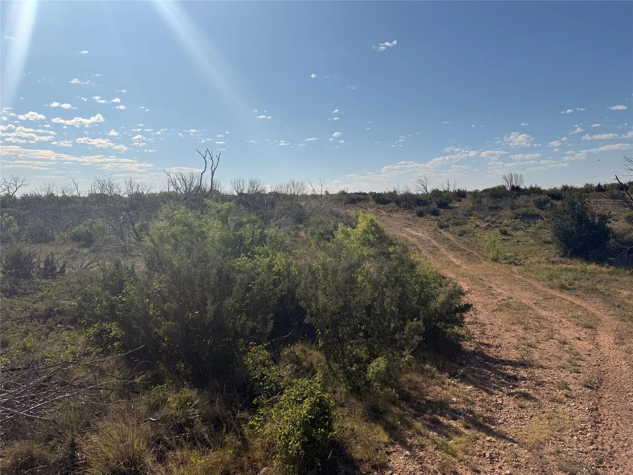 Ranch For Sale in Taylor County , 167 acres TBD CR 343, Merkel, Texas 79536, 0, 0, Garage spaces, 0 Sqft, built in 0, mls#21396846, Real Estate Agent in Merkel, Homes For Sale in Taylor county, Homes For Sale in Merkel, Realtor in Merkel Texas, Real Estate Brokerage Independent Realty Texas, Luminita Cordes Realtor