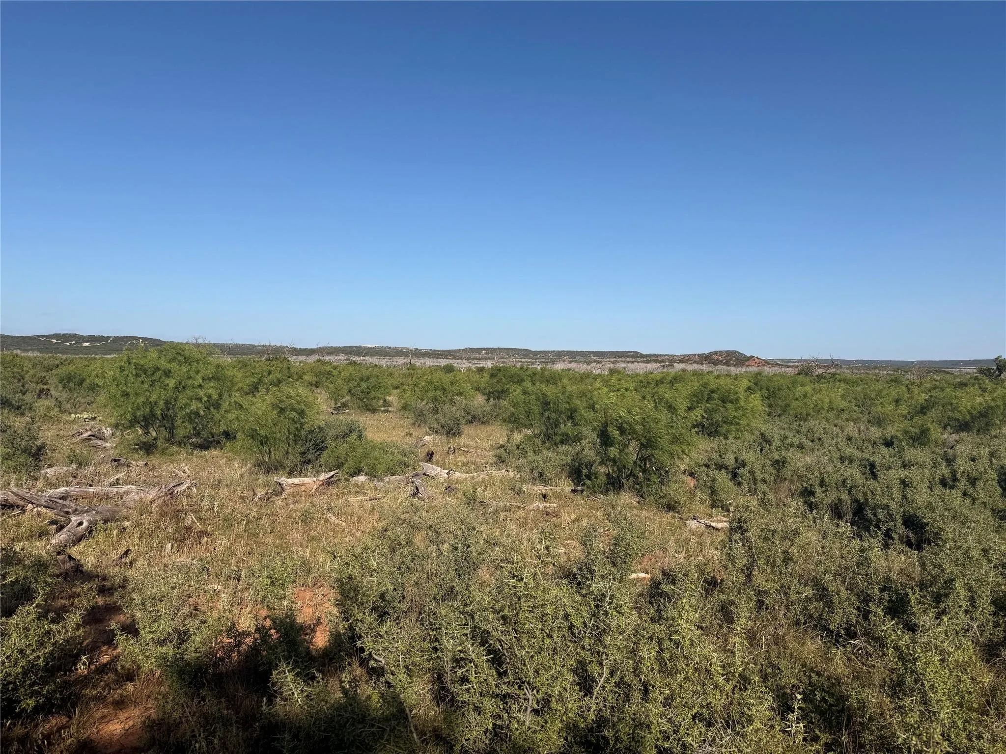 Ranch For Sale in Taylor County , 167 acres TBD CR 343, Merkel, Texas 79536, 0, 0, Garage spaces, 0 Sqft, built in 0, mls#21396846, Real Estate Agent in Merkel, Homes For Sale in Taylor county, Homes For Sale in Merkel, Realtor in Merkel Texas, Real Estate Brokerage Independent Realty Texas, Luminita Cordes Realtor