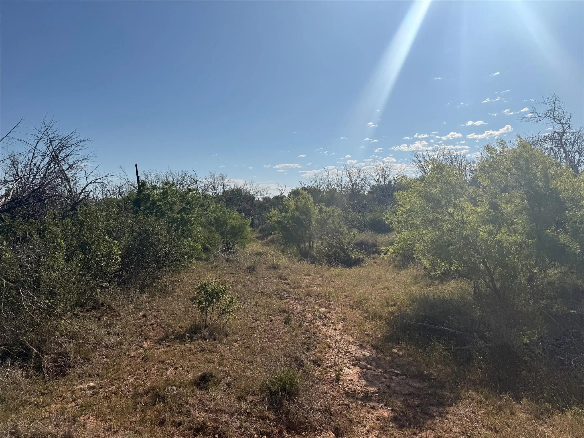 Ranch For Sale in Taylor County , 167 acres TBD CR 343, Merkel, Texas 79536, 0, 0, Garage spaces, 0 Sqft, built in 0, mls#21396846, Real Estate Agent in Merkel, Homes For Sale in Taylor county, Homes For Sale in Merkel, Realtor in Merkel Texas, Real Estate Brokerage Independent Realty Texas, Luminita Cordes Realtor