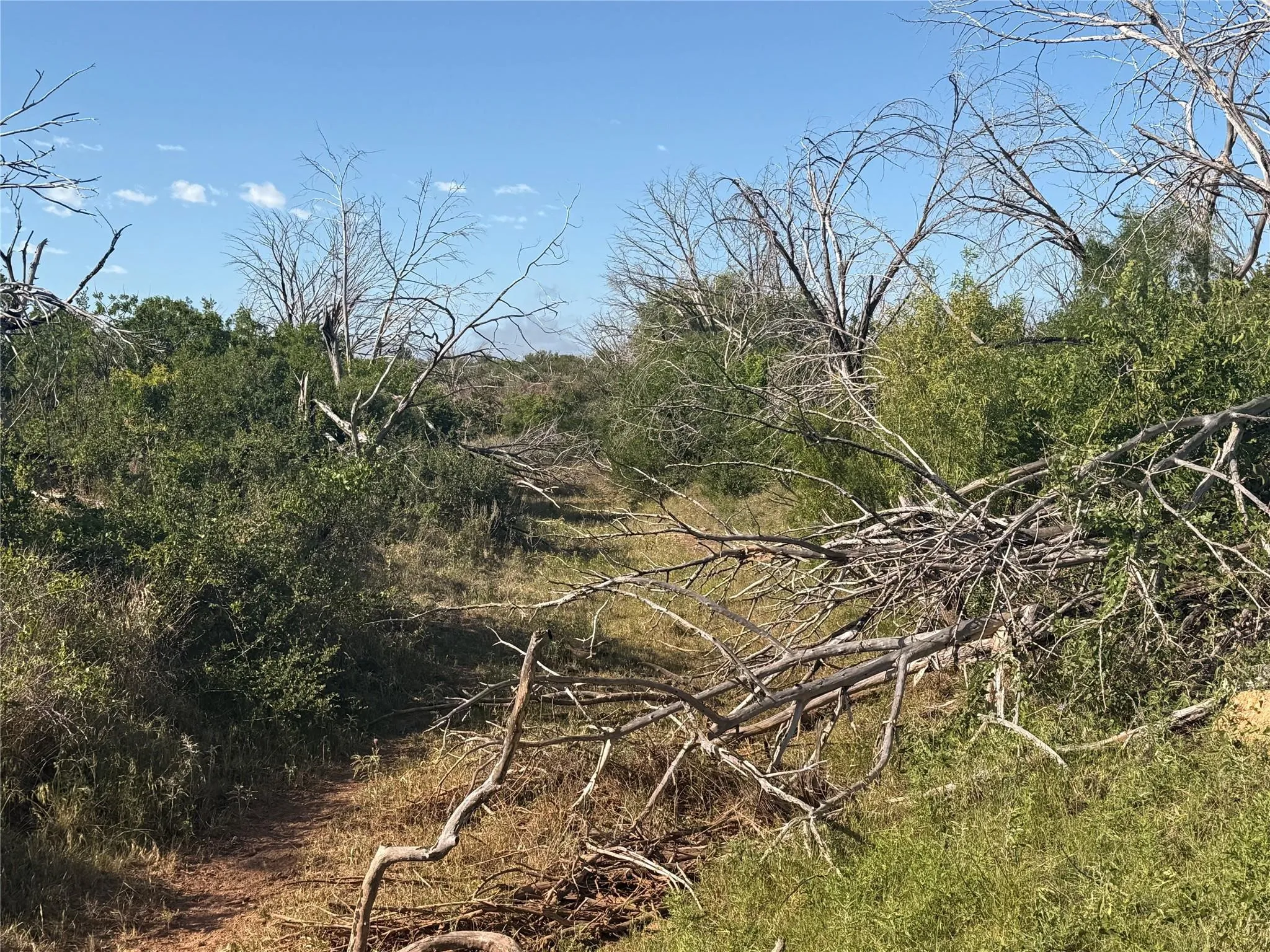 Ranch For Sale in Taylor County , 167 acres TBD CR 343, Merkel, Texas 79536, 0, 0, Garage spaces, 0 Sqft, built in 0, mls#21396846, Real Estate Agent in Merkel, Homes For Sale in Taylor county, Homes For Sale in Merkel, Realtor in Merkel Texas, Real Estate Brokerage Independent Realty Texas, Luminita Cordes Realtor