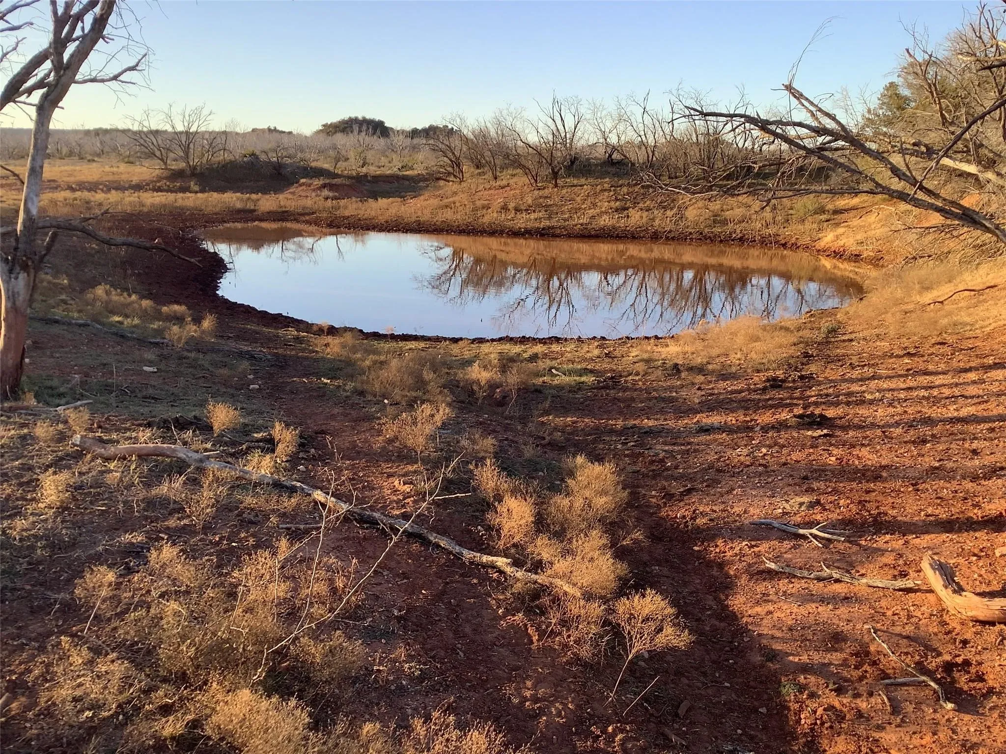 Ranch For Sale in Taylor County , 167 acres TBD CR 343, Merkel, Texas 79536, 0, 0, Garage spaces, 0 Sqft, built in 0, mls#21396846, Real Estate Agent in Merkel, Homes For Sale in Taylor county, Homes For Sale in Merkel, Realtor in Merkel Texas, Real Estate Brokerage Independent Realty Texas, Luminita Cordes Realtor