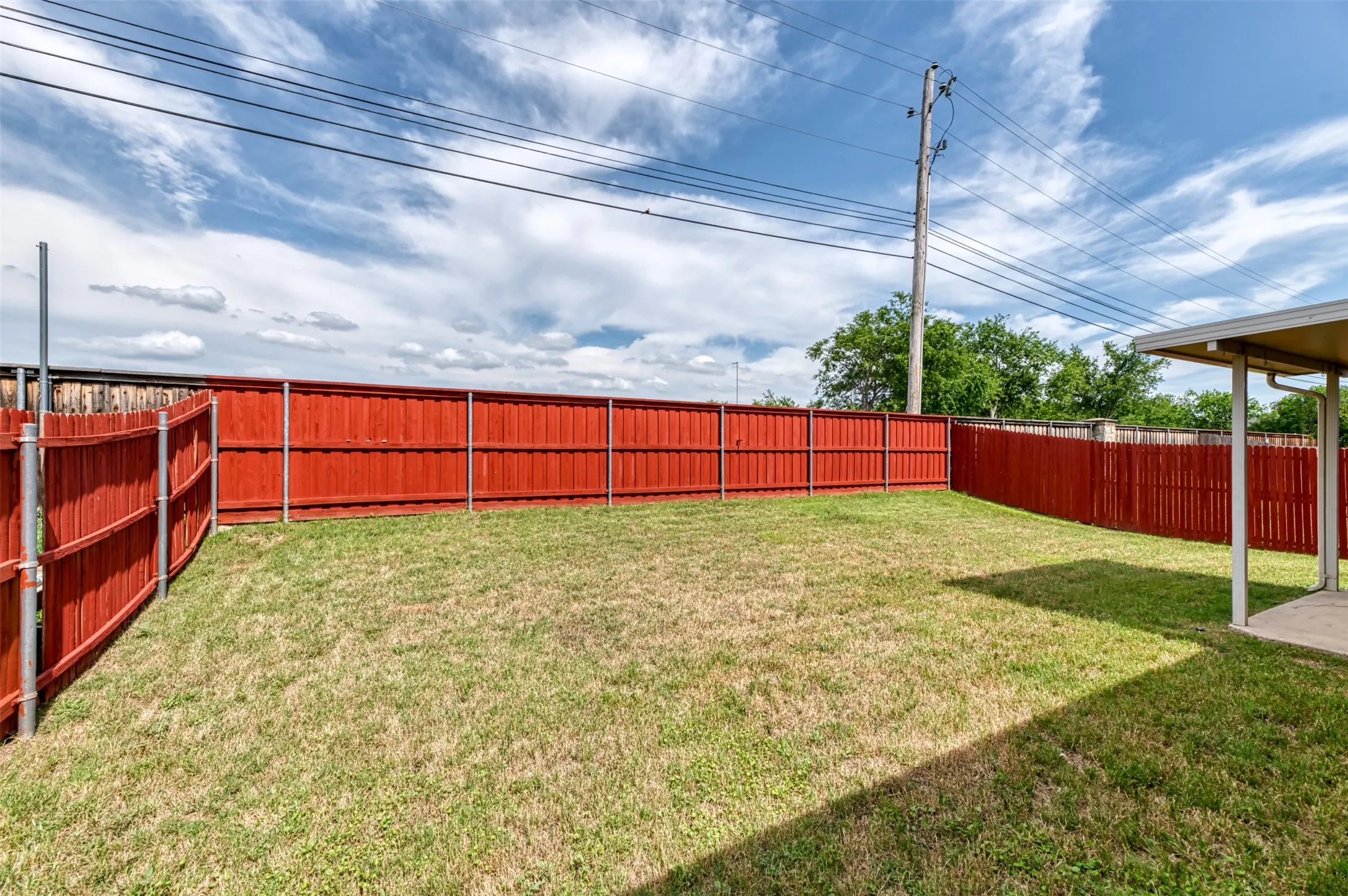 Lush backyard grass, just slightly sloped for easier upkeep.