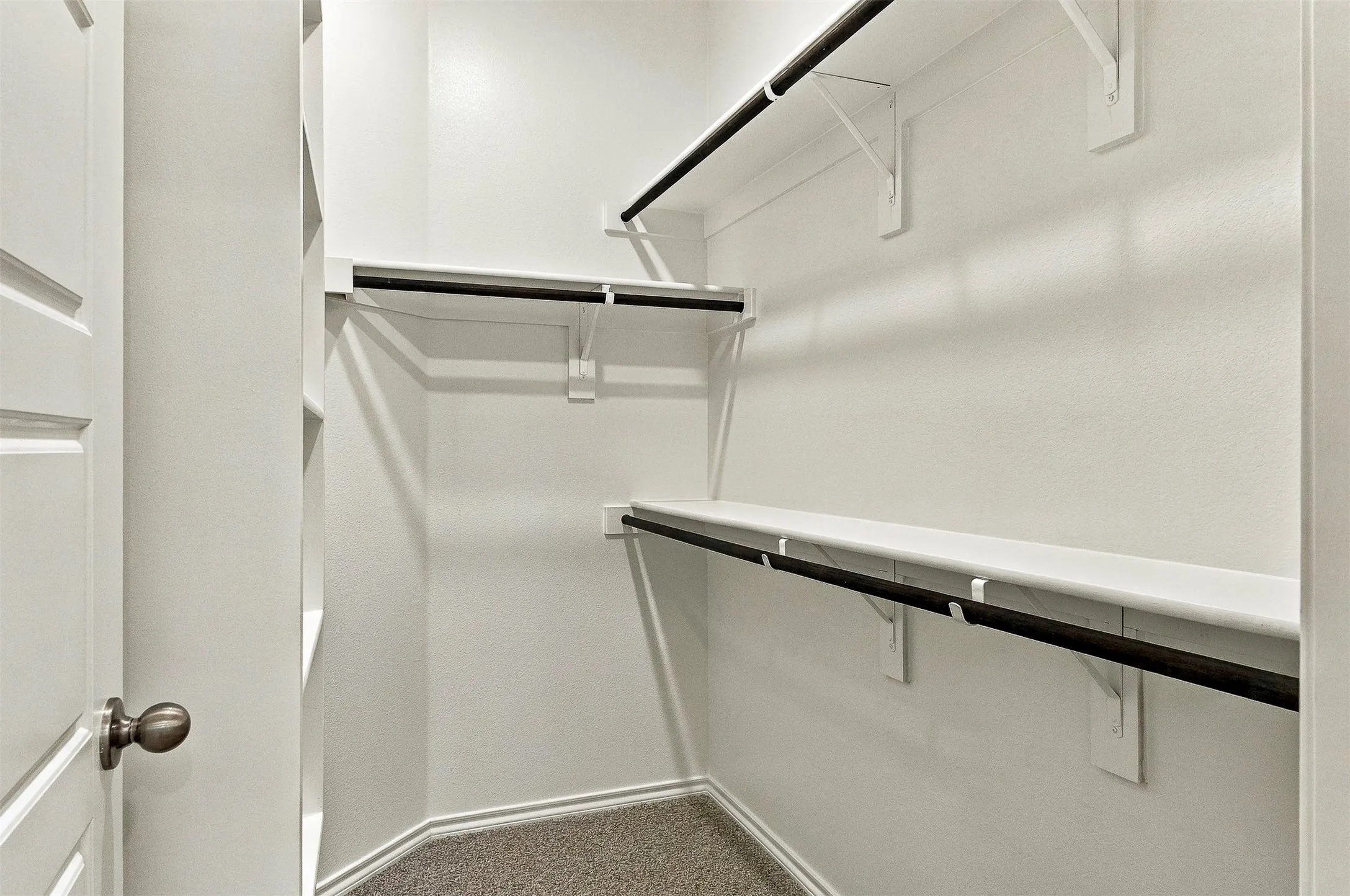 Built-in shelving, hanging rods, and carpeted flooring